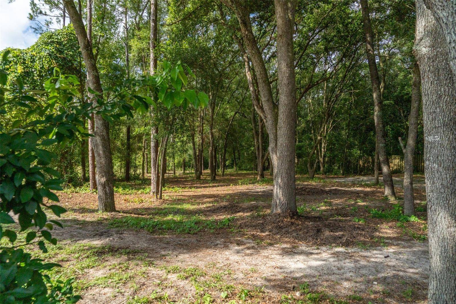 40 DEER TRAIL CIR, Bronson, FL 32621