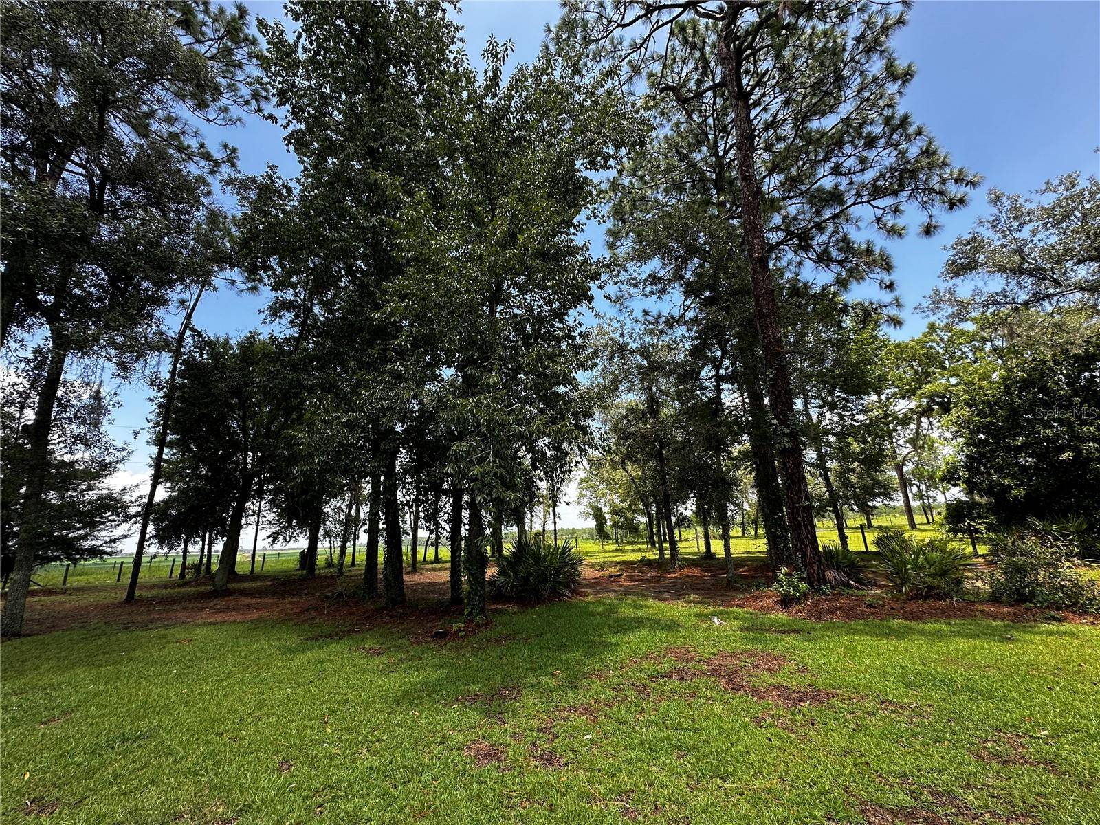 13730 SE 20TH ST, Morriston, FL 32668