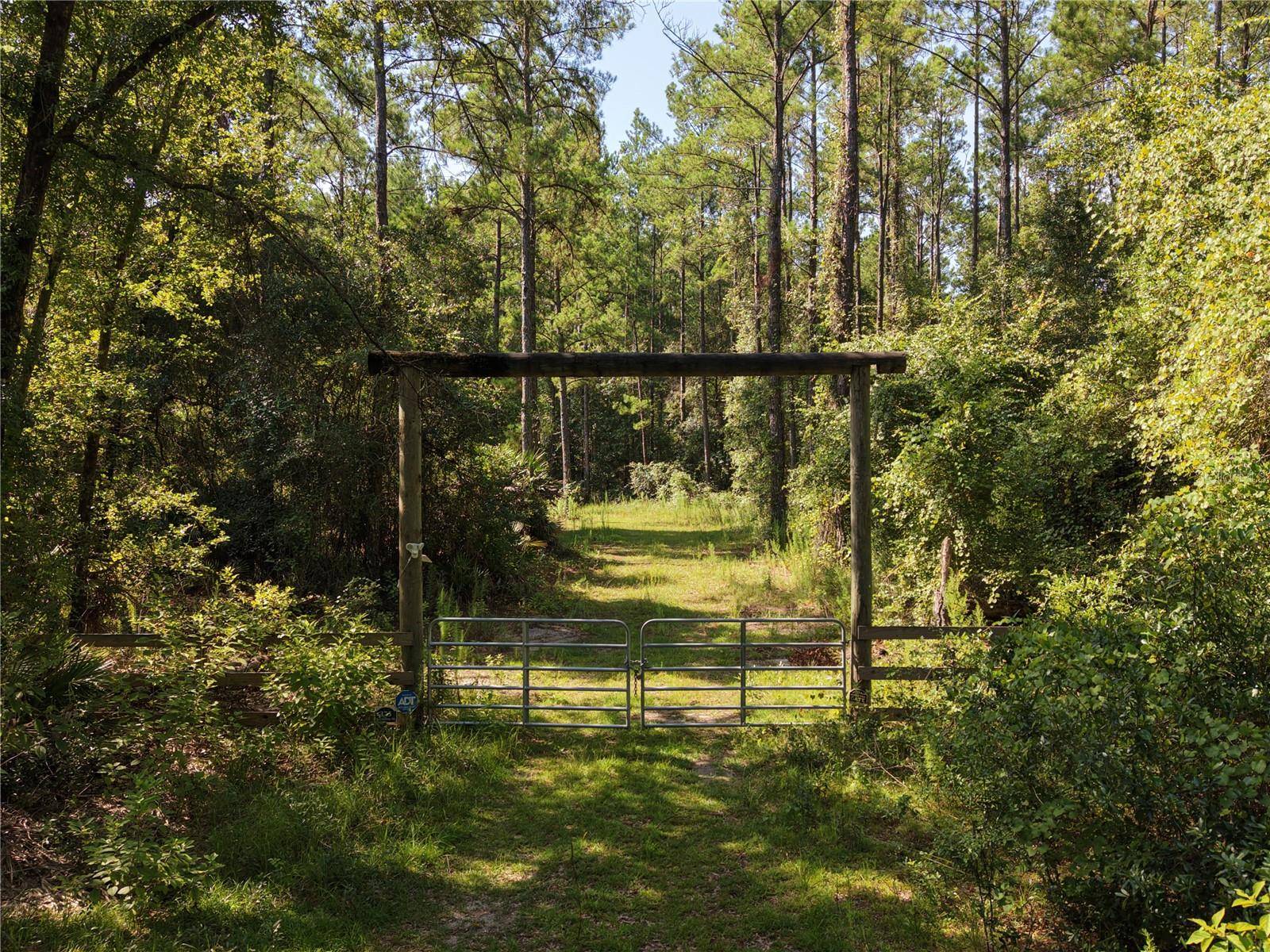 375 BUCK SPRINGS RD, Palatka, FL 32177