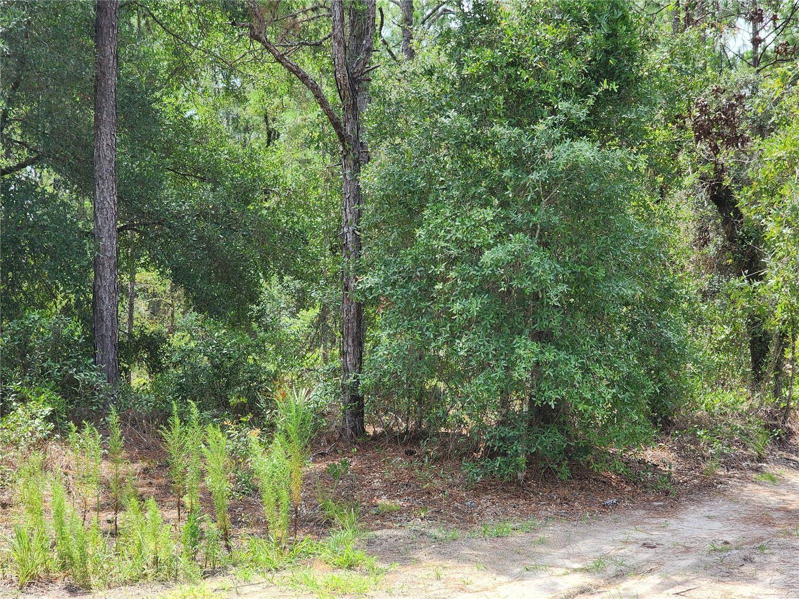 10920 SW 105TH ST, Ocala, FL 34481