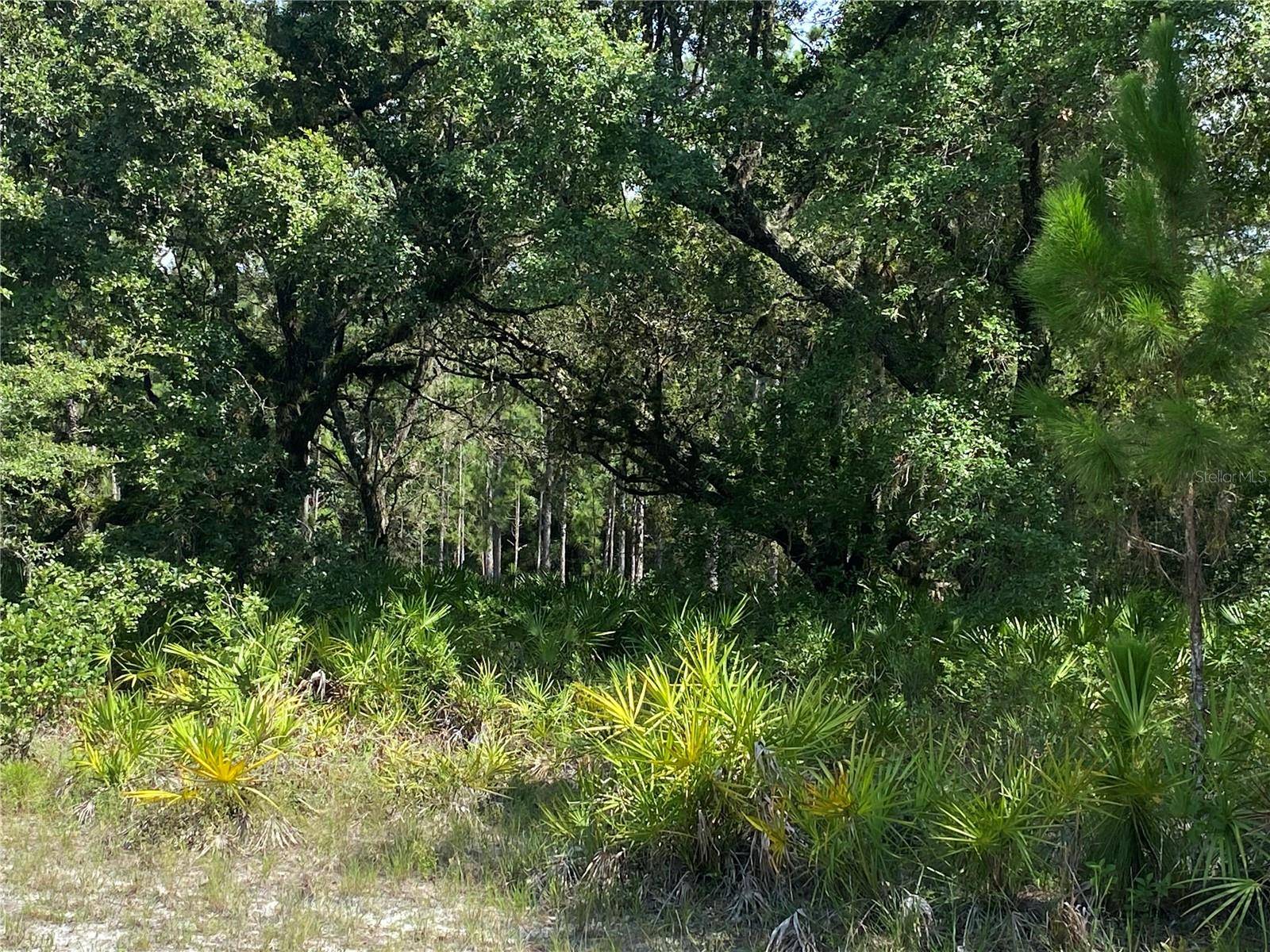 0 OLEANDER DR, Indian Lake Estates, FL 33855