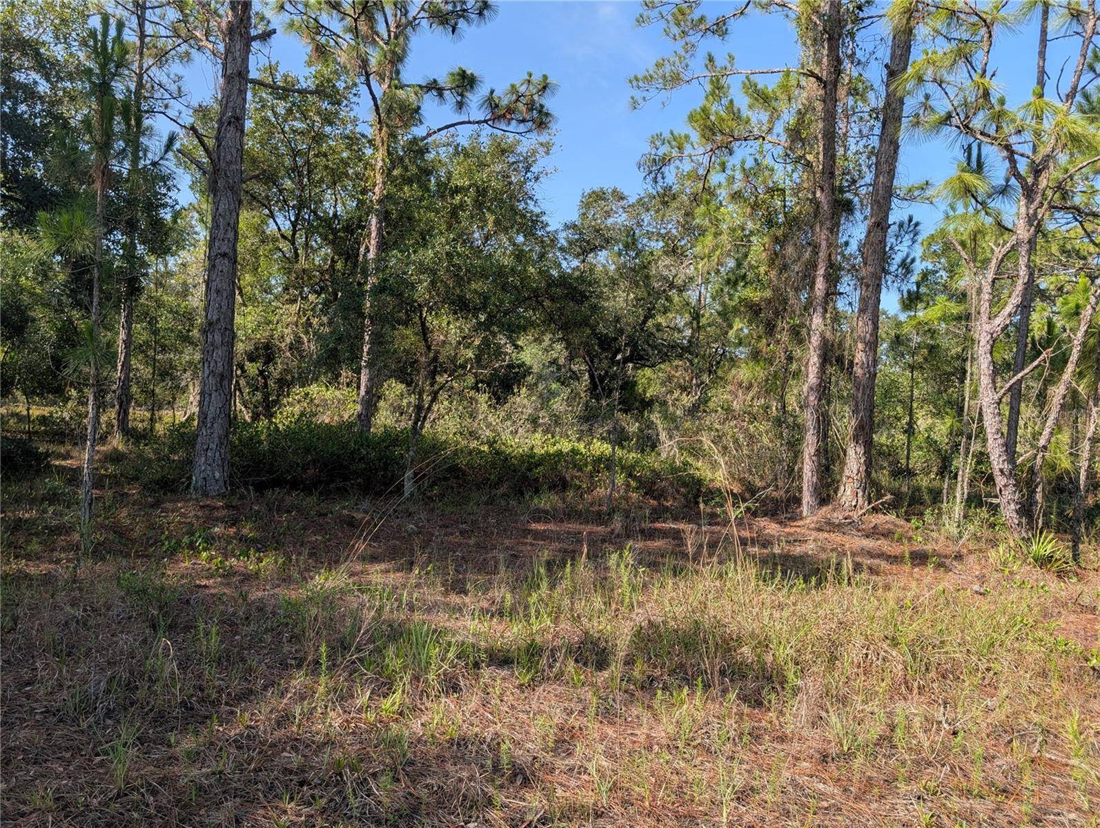 819 & 821 ALLAMANDA DR, Indian Lake Estates, FL 33855