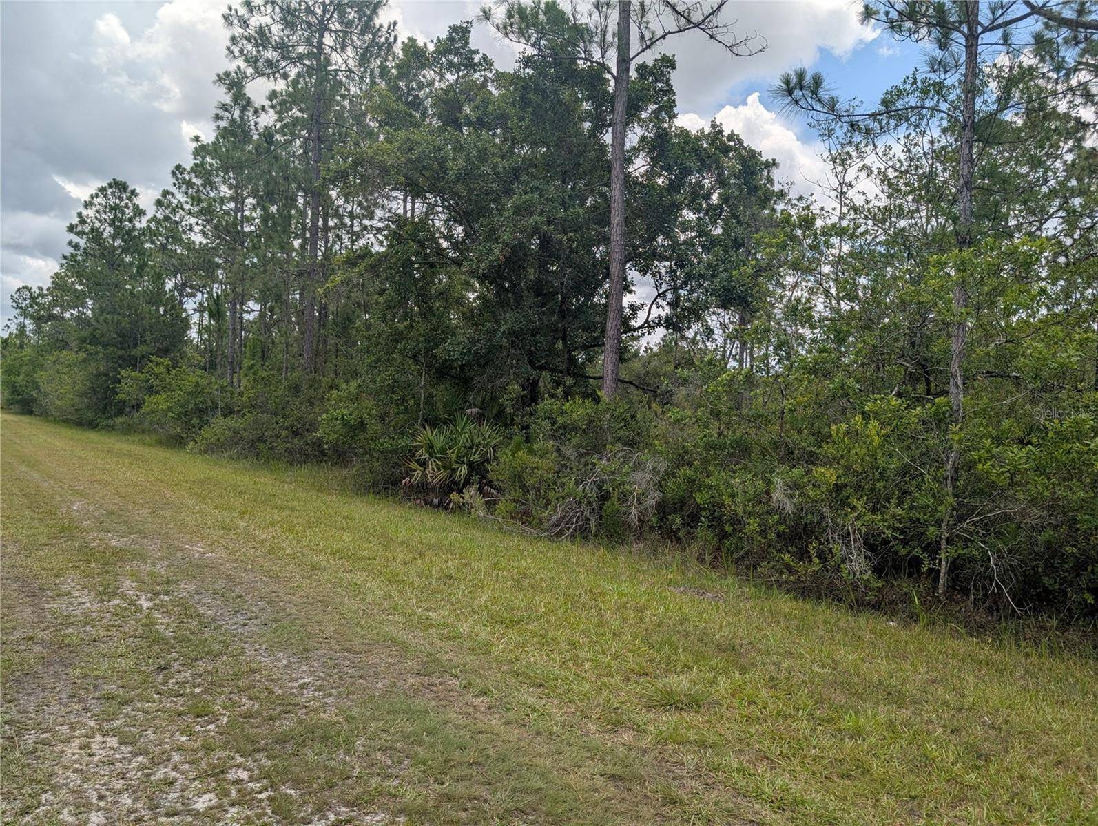 519 CAMELLIA DR, Indian Lake Estates, FL 33855