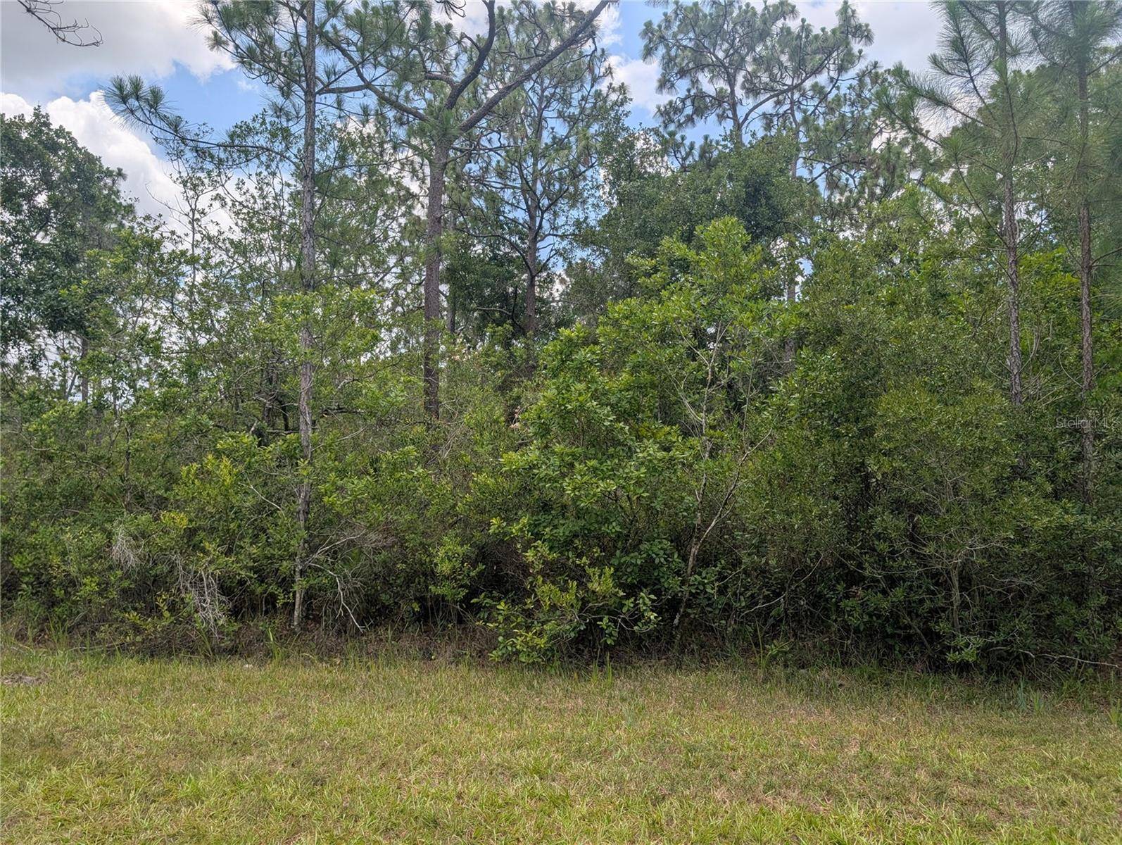 519 CAMELLIA DR, Indian Lake Estates, FL 33855