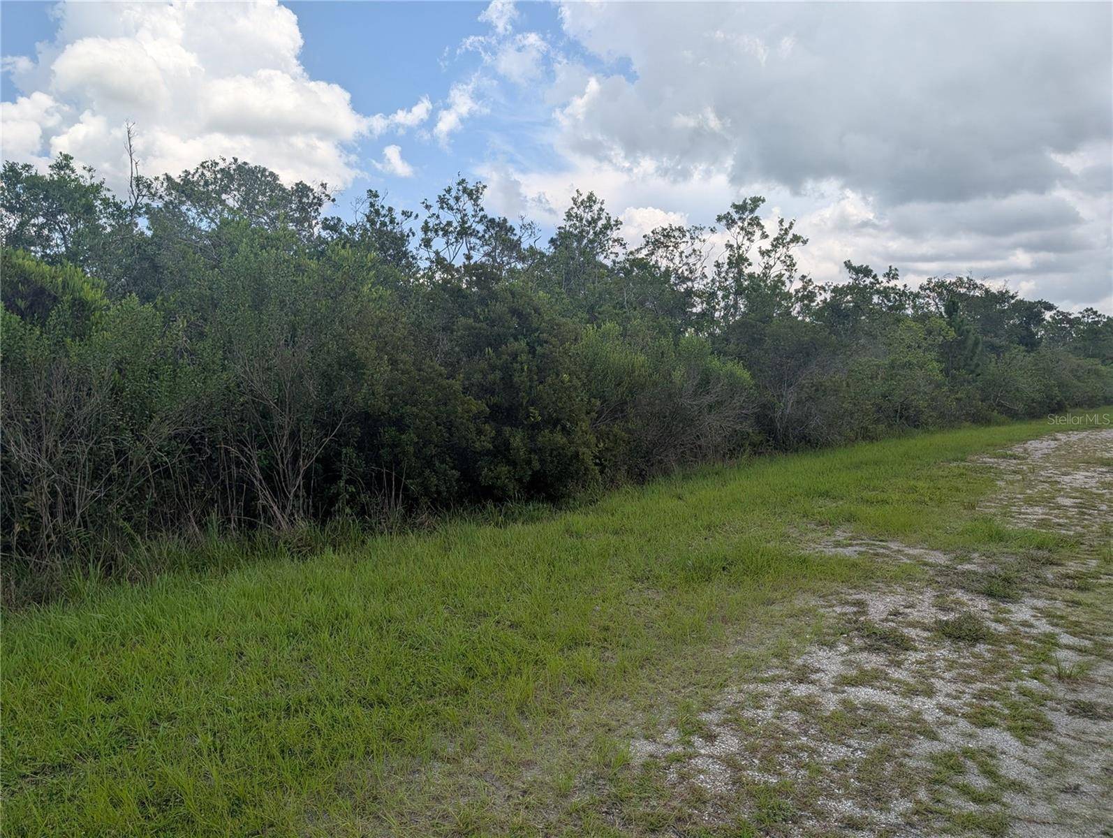 314 CAMELLIA DR, Indian Lake Estates, FL 33855