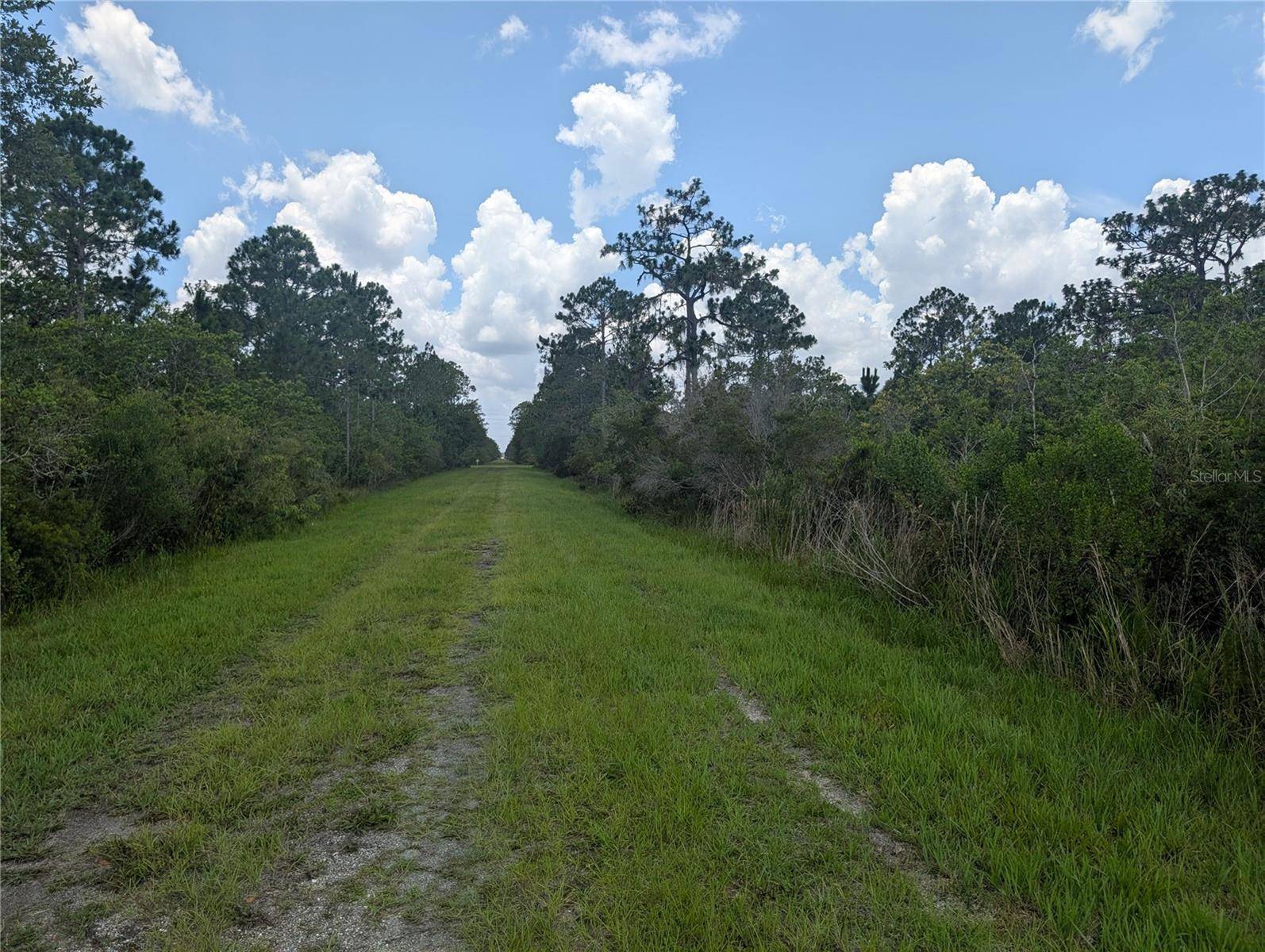 314 CAMELLIA DR, Indian Lake Estates, FL 33855