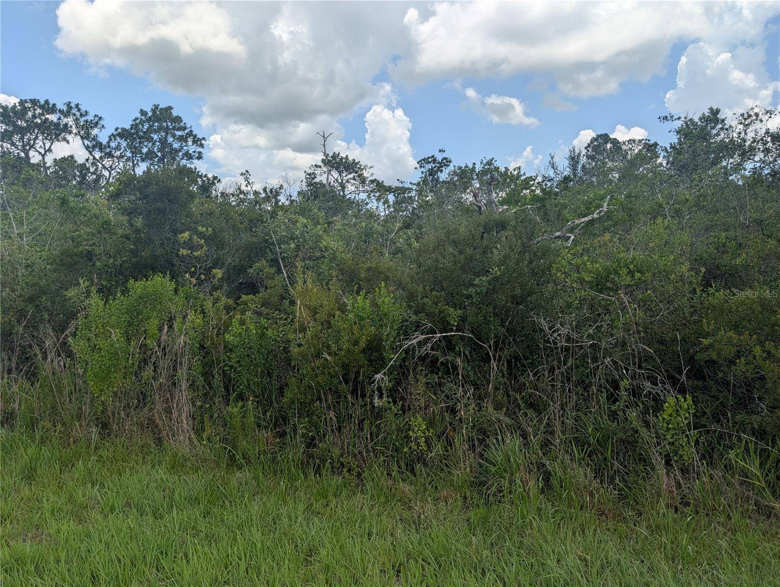 314 CAMELLIA DR, Indian Lake Estates, FL 33855