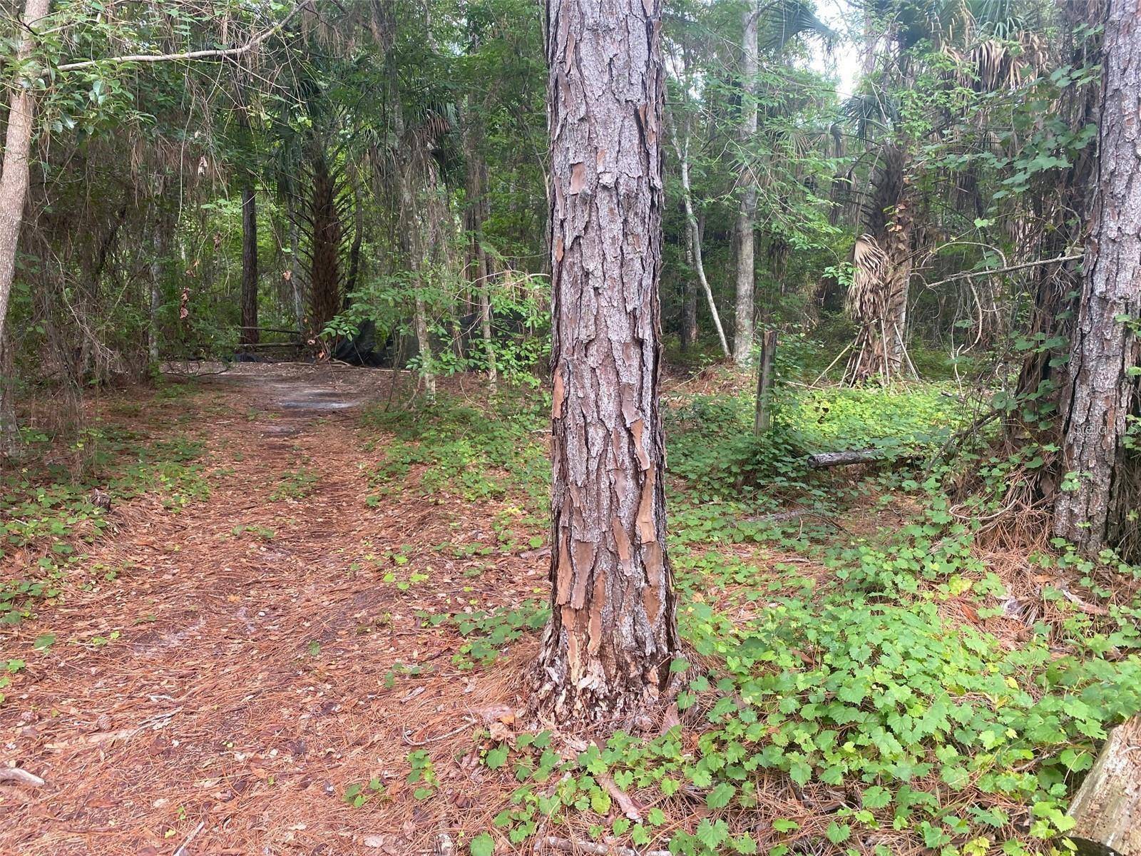709 GEORGETOWN DENVER RD, Crescent City, FL 32112