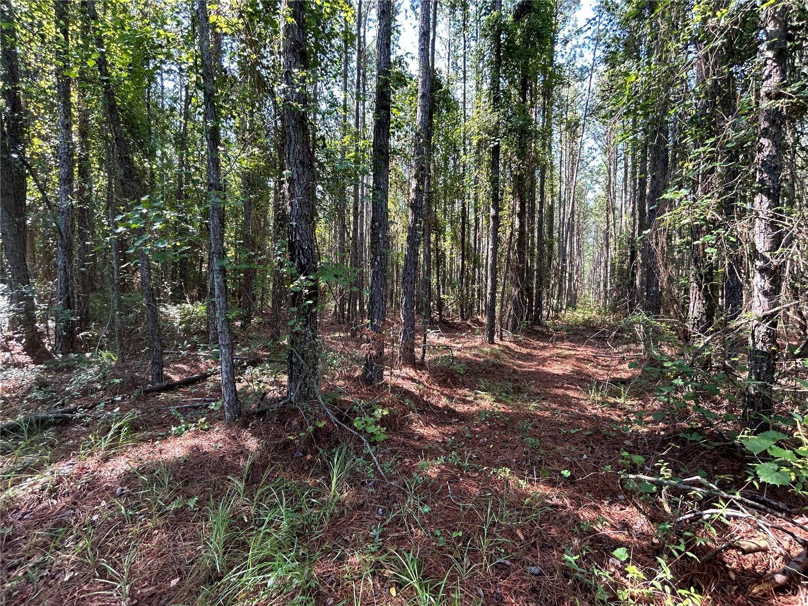 709 GEORGETOWN DENVER RD, Crescent City, FL 32112