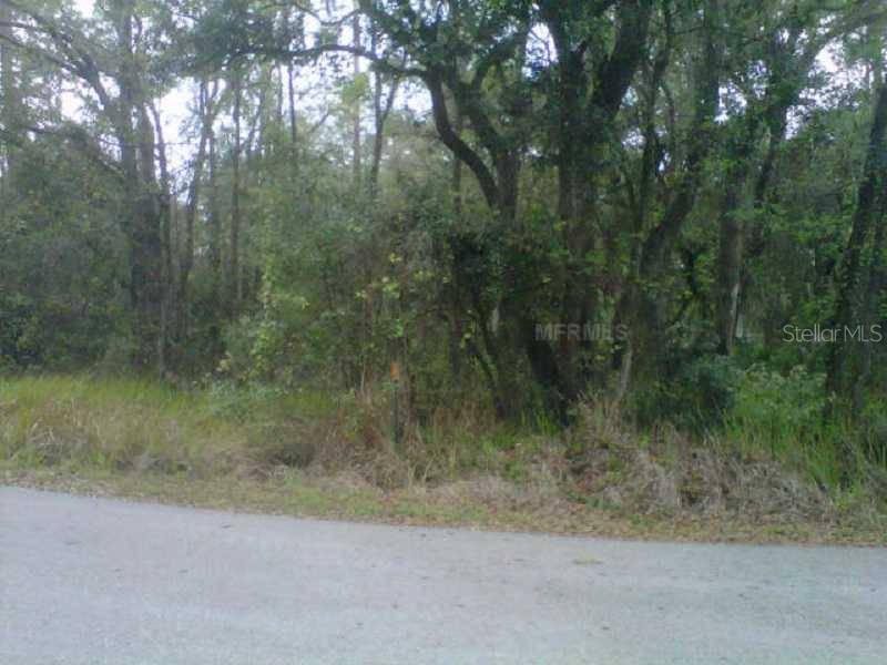 STATE PARK RD, Lakeland, FL 33805