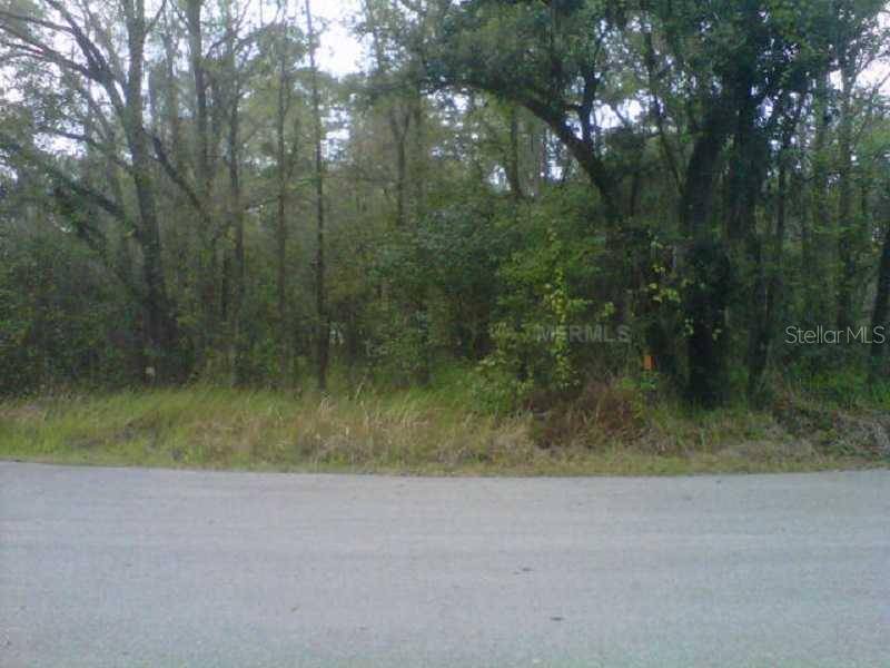 STATE PARK RD, Lakeland, FL 33805
