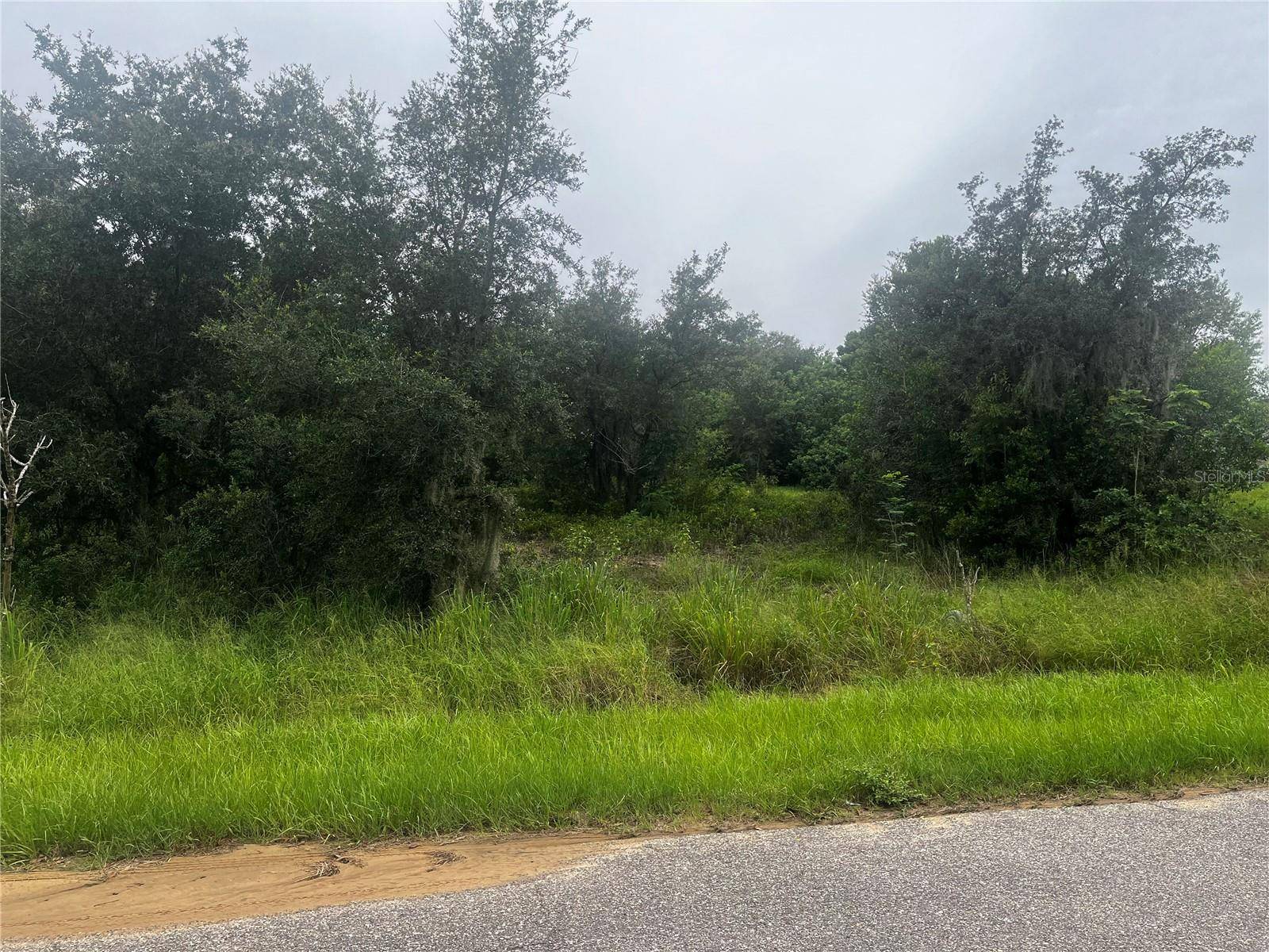 2370 LAKE EASY RD, Babson Park, FL 33827
