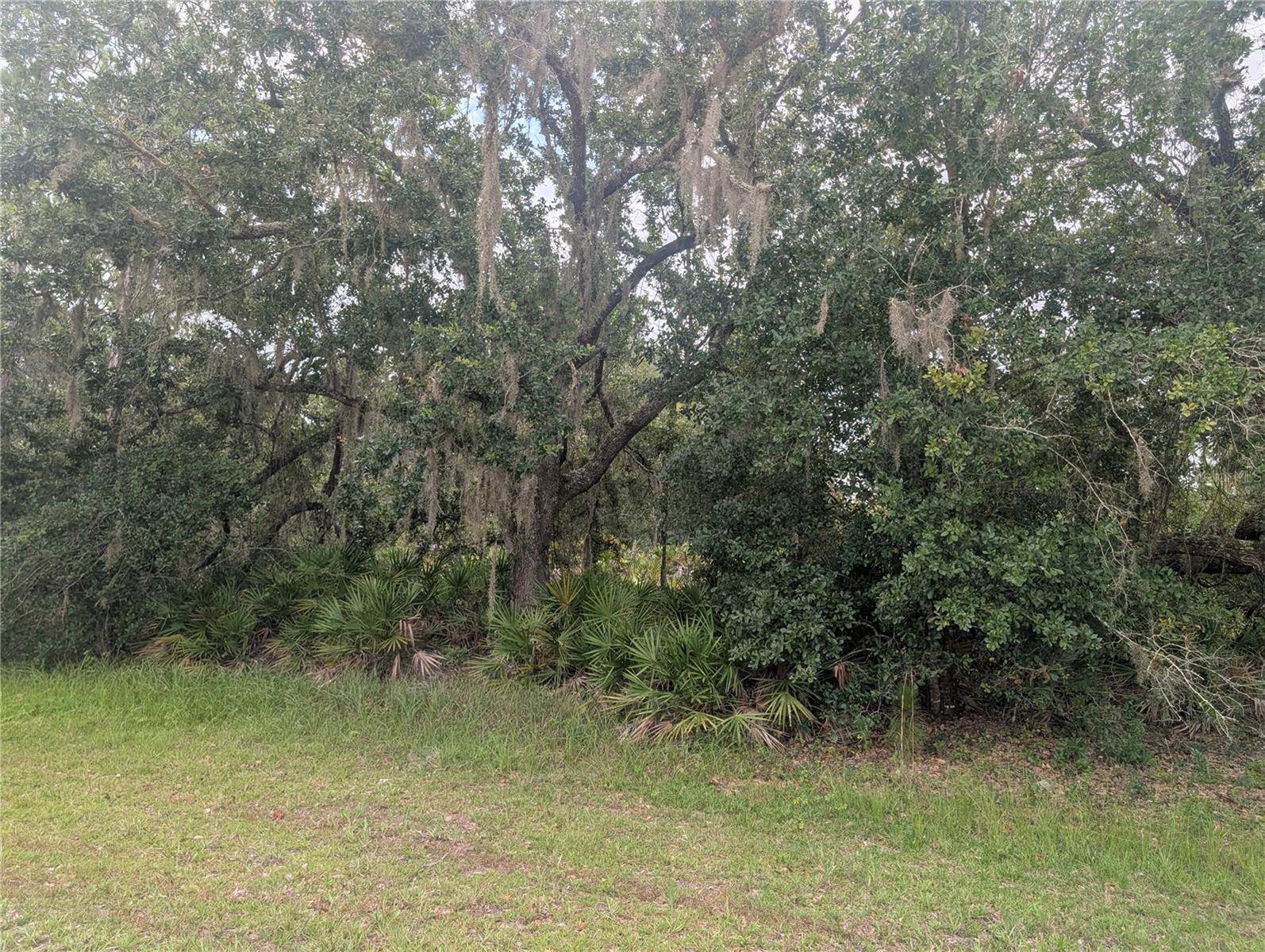 GAILLARDIA DR, Indian Lake Estates, FL 33855