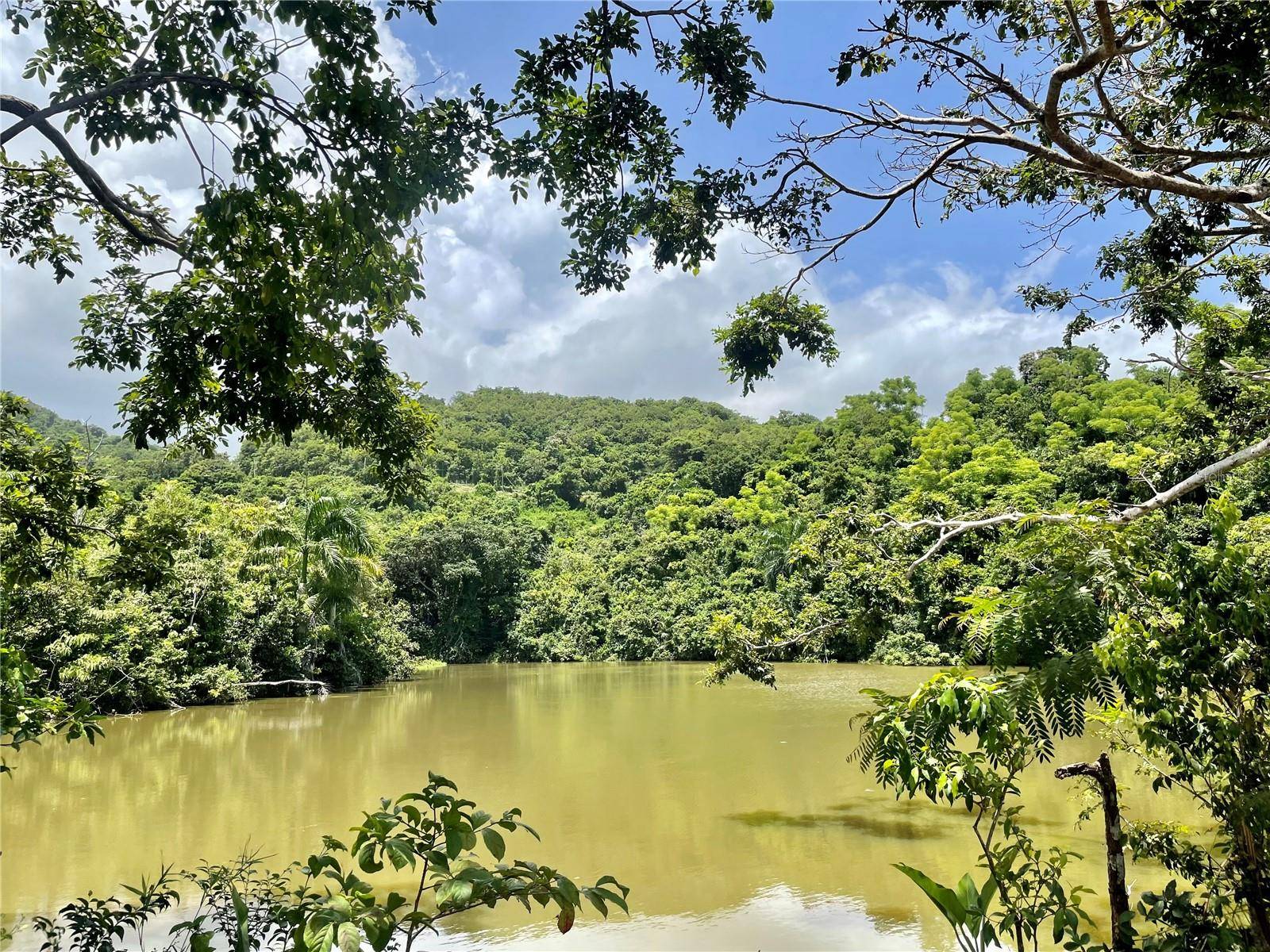 981, Ceiba, PR 00735
