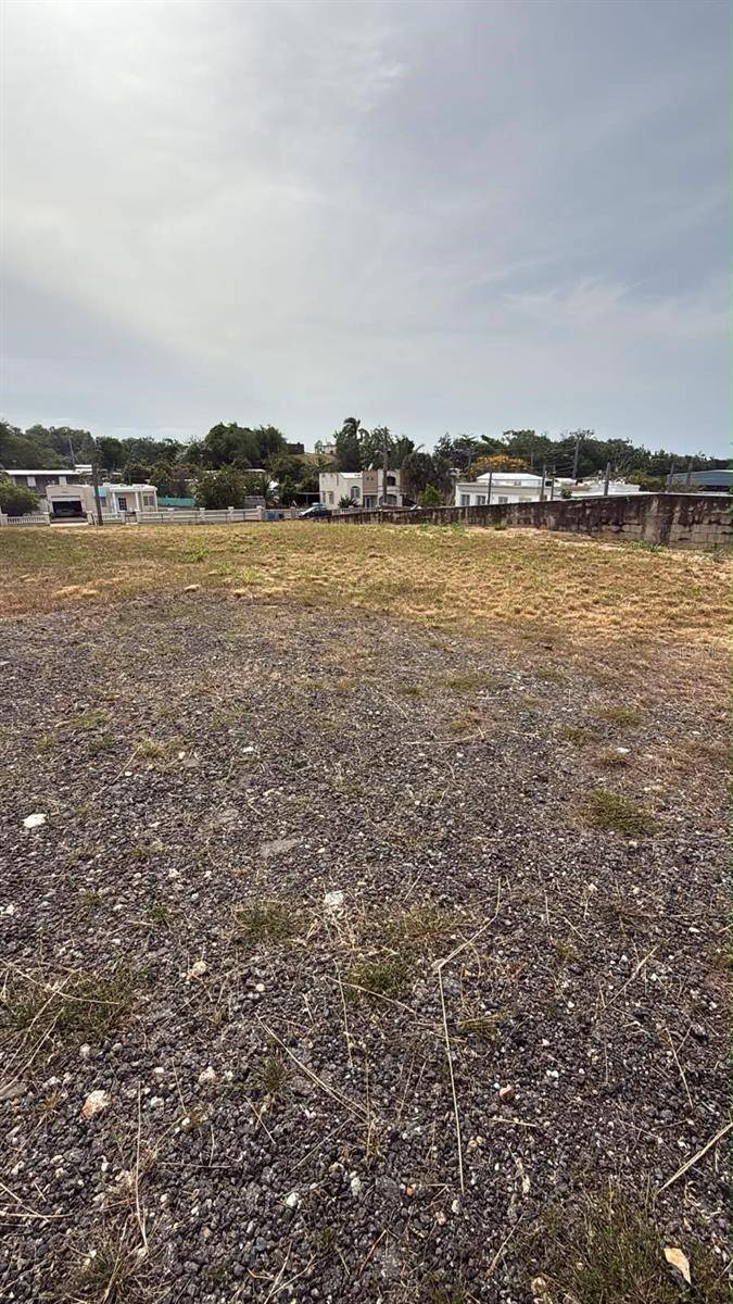 CARR 637 BO MIRAFLORES SECTOR BIAFARA, Arecibo, PR 00612