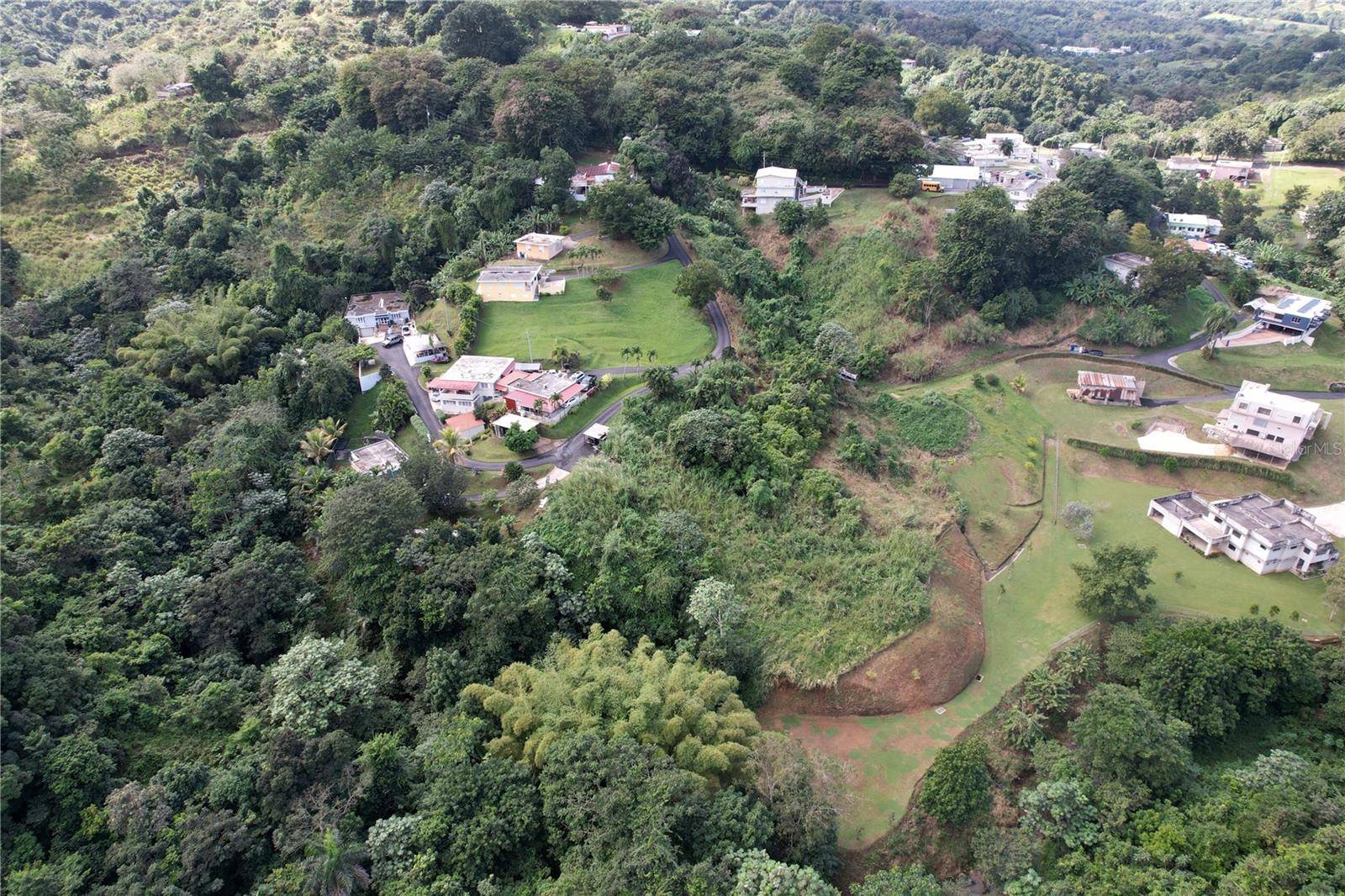 PR 568 KM 28.5 SECTOR EL LIMON PADILLA, Corozal, PR 00783