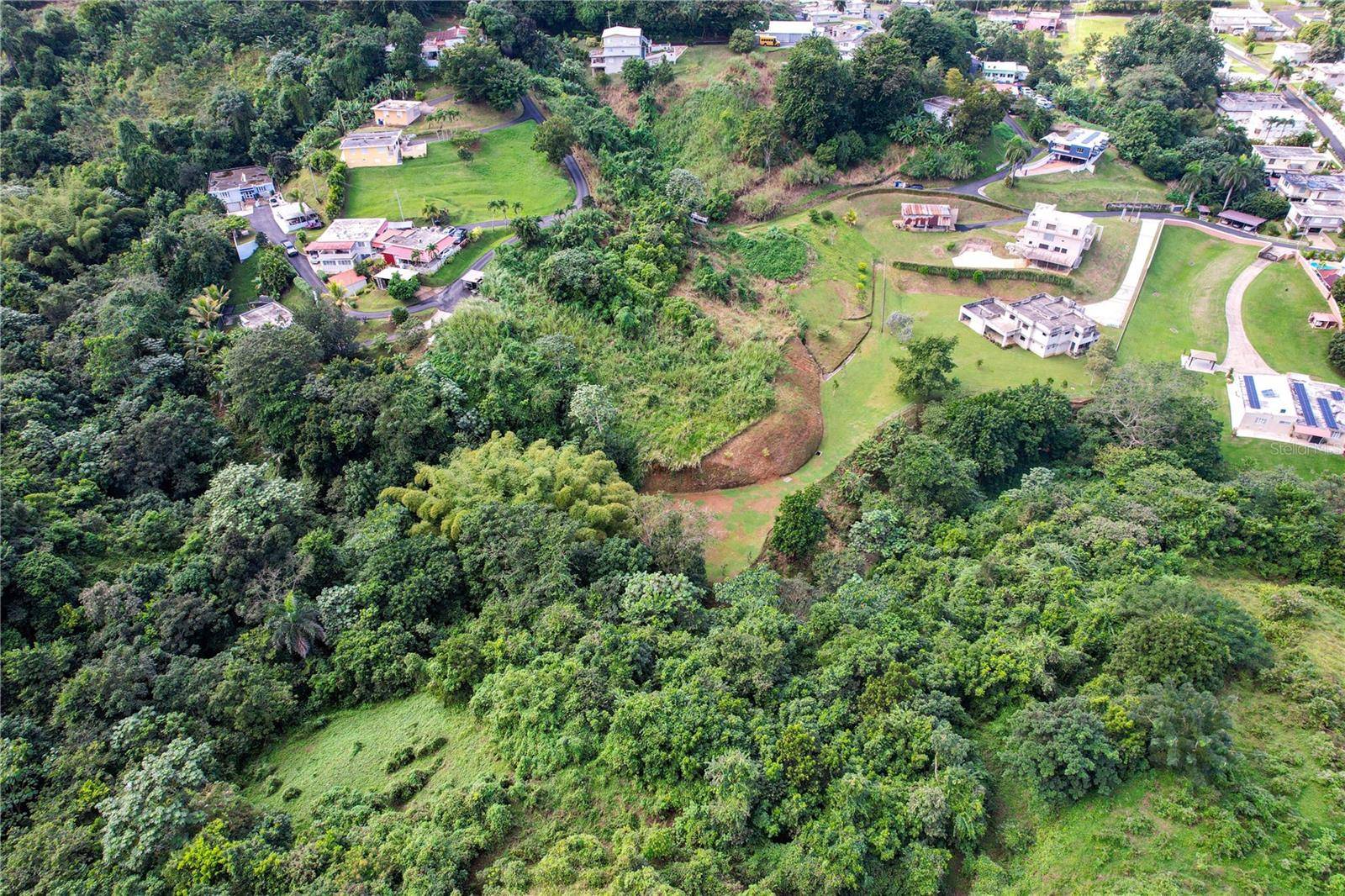 PR 568 KM 28.5 SECTOR EL LIMON PADILLA, Corozal, PR 00783