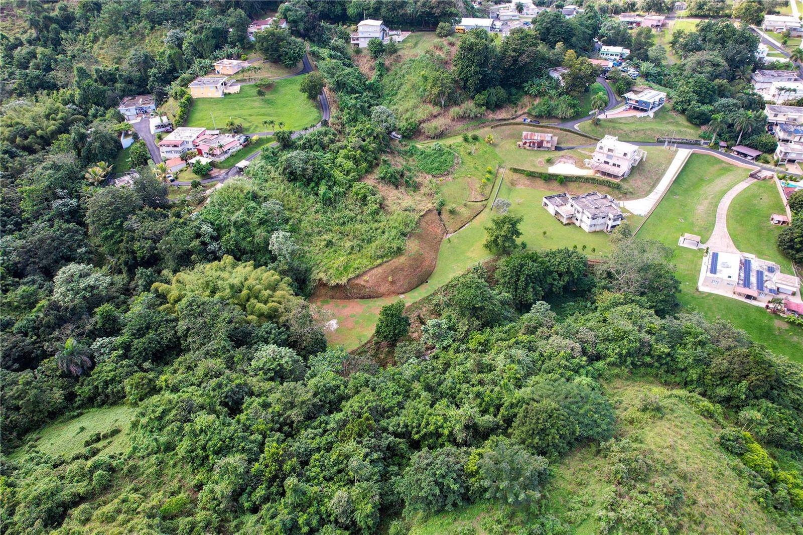 PR 568 KM 28.5 SECTOR EL LIMON PADILLA, Corozal, PR 00783