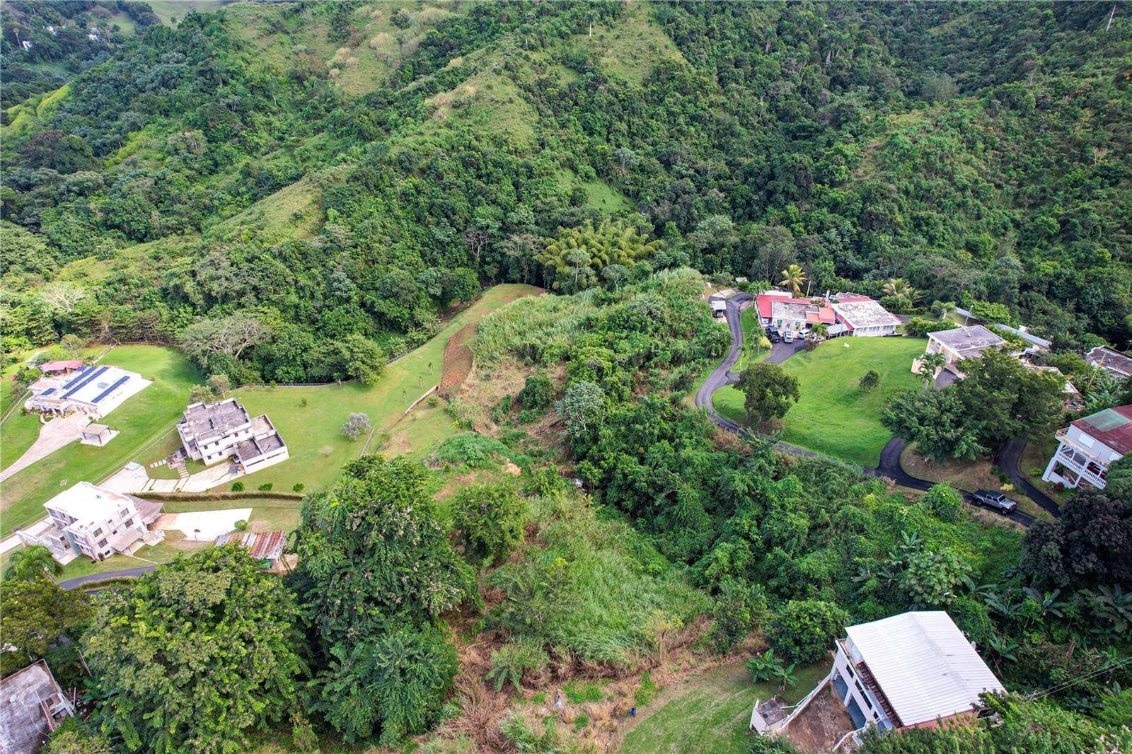 PR 568 KM 28.5 SECTOR EL LIMON PADILLA, Corozal, PR 00783
