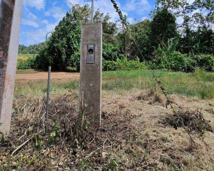 BO. DOMINGUITO, SECTOR LOS COLONOS,, Arecibo, PR 00612