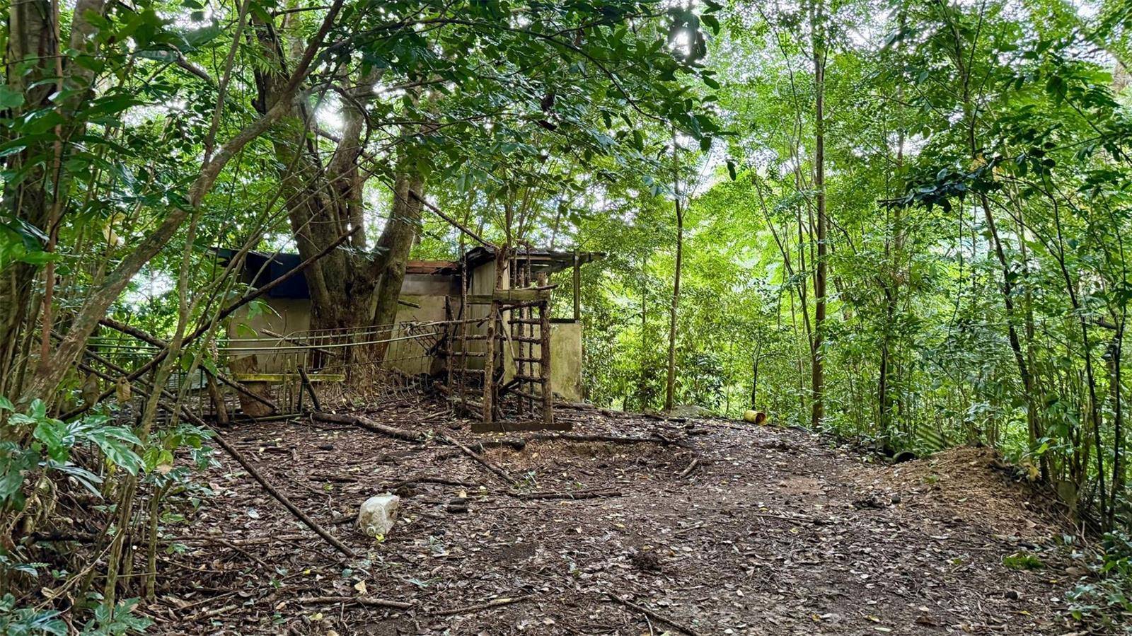 KM 14.5 KM 14.5, Ciales, PR 00638