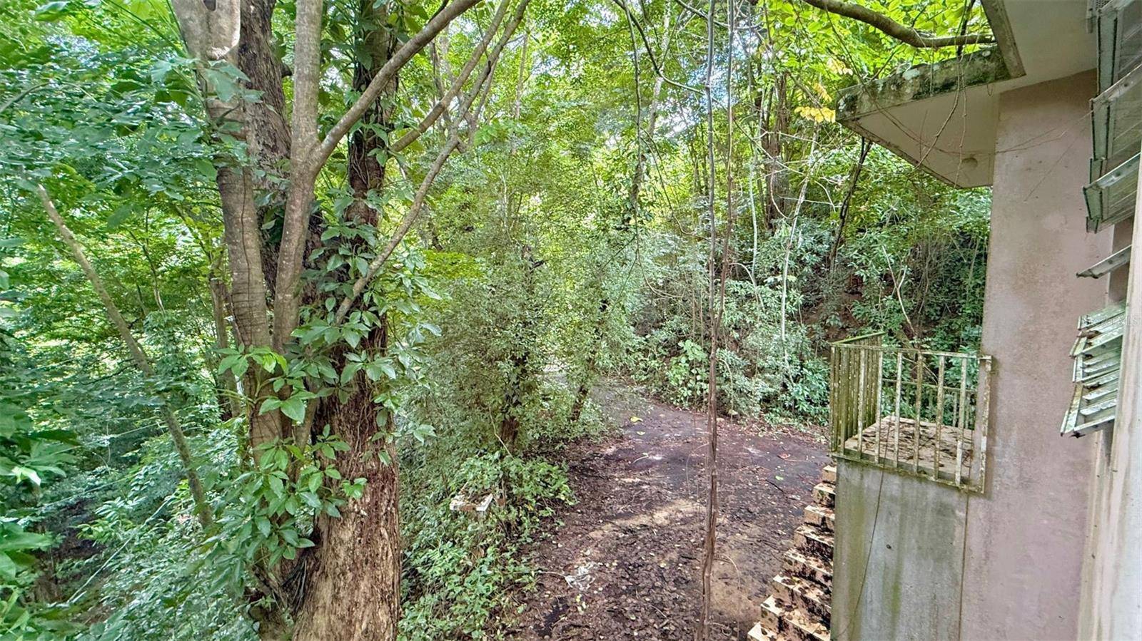 KM 14.5 KM 14.5, Ciales, PR 00638