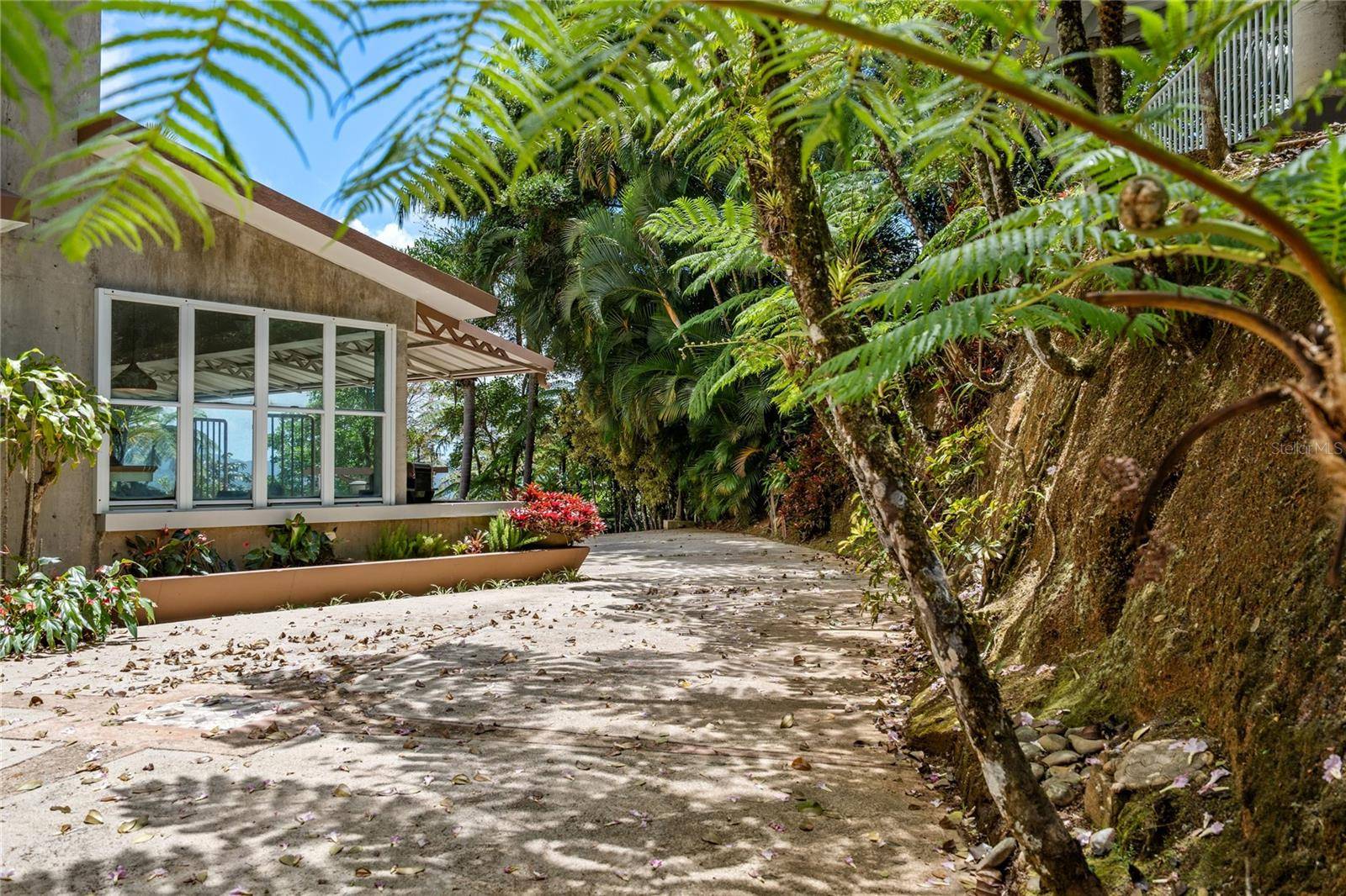PR-184 GUAVATE, Cayey, PR 00736