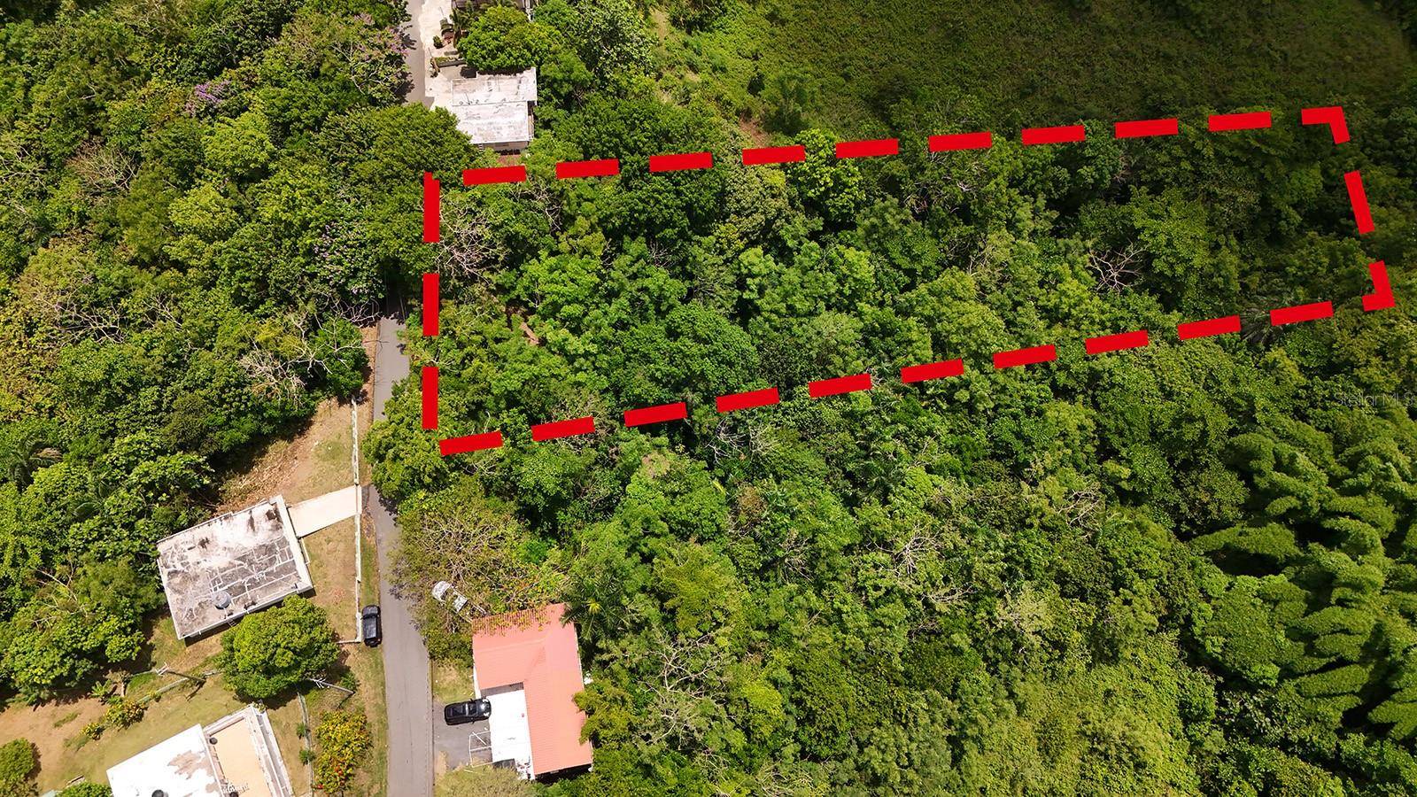 SECRET SPOT CARR 4414, Aguada, PR 00602