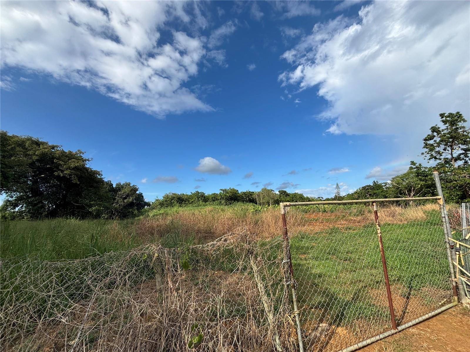 BARRIO CEIBA BAJA, Aguadilla, PR 00603