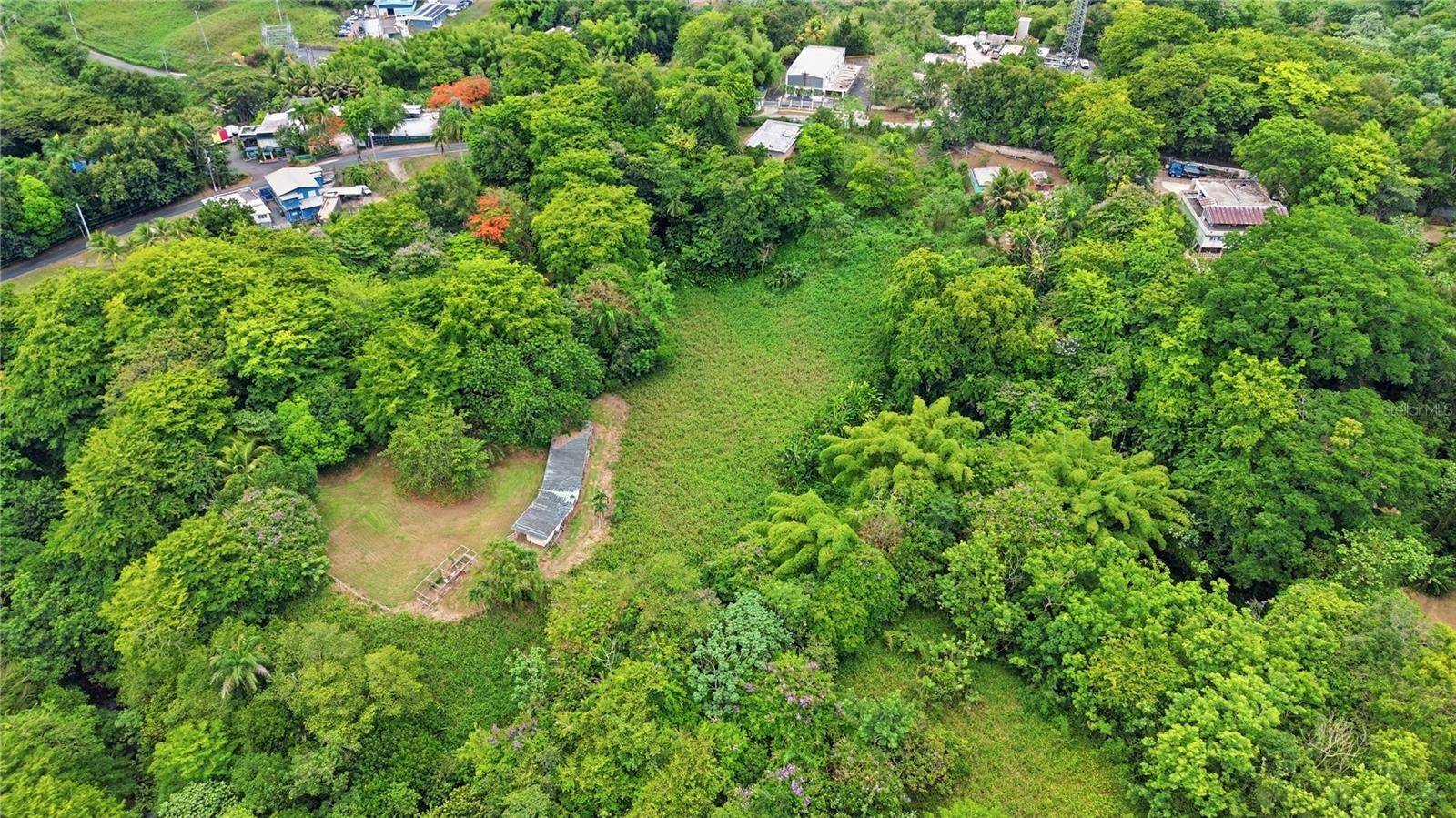 PR 176 KM6.6 CUPEY ALTO, San Juan, PR 00926