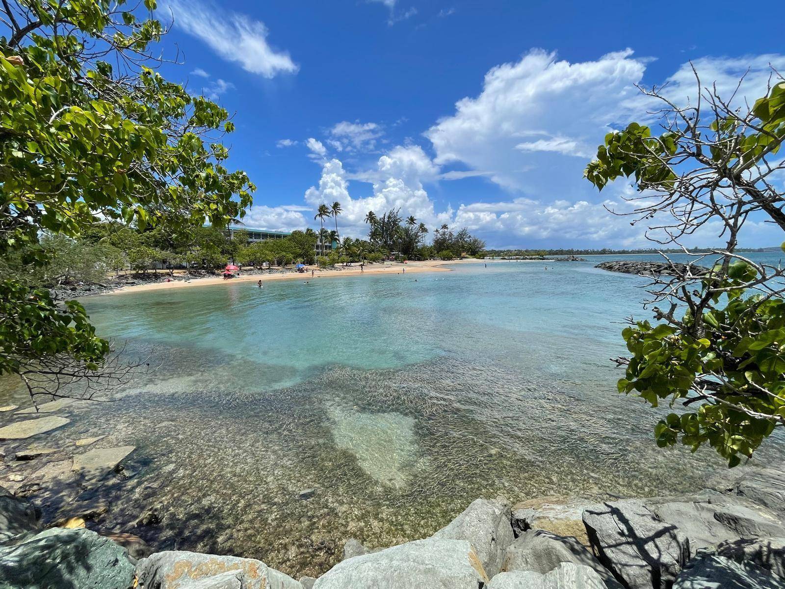 K5 VILLAS DE PLAYA II #K5, Dorado, PR 00646