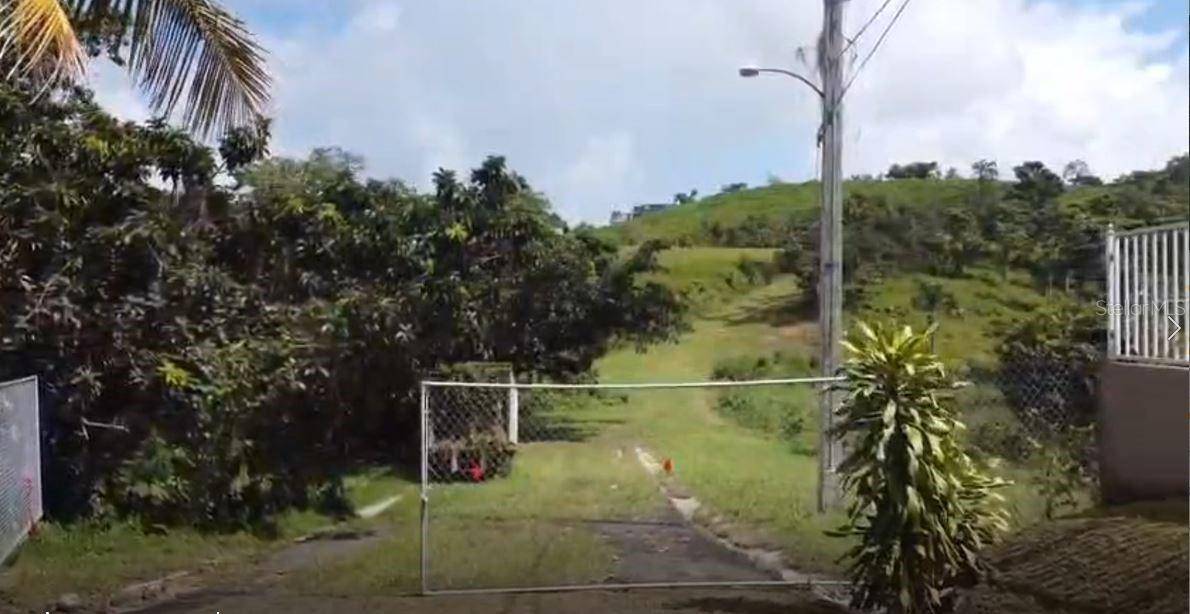 962 LUKELUZ, Canovanas, PR 00729