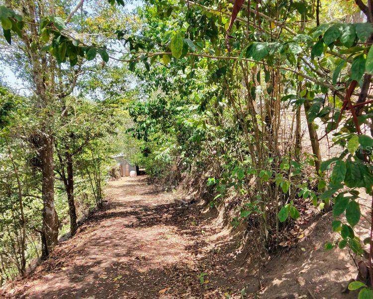 HACIENDA DE CIDRA, RABANAL PARCELA #32, Cidra, PR 00739