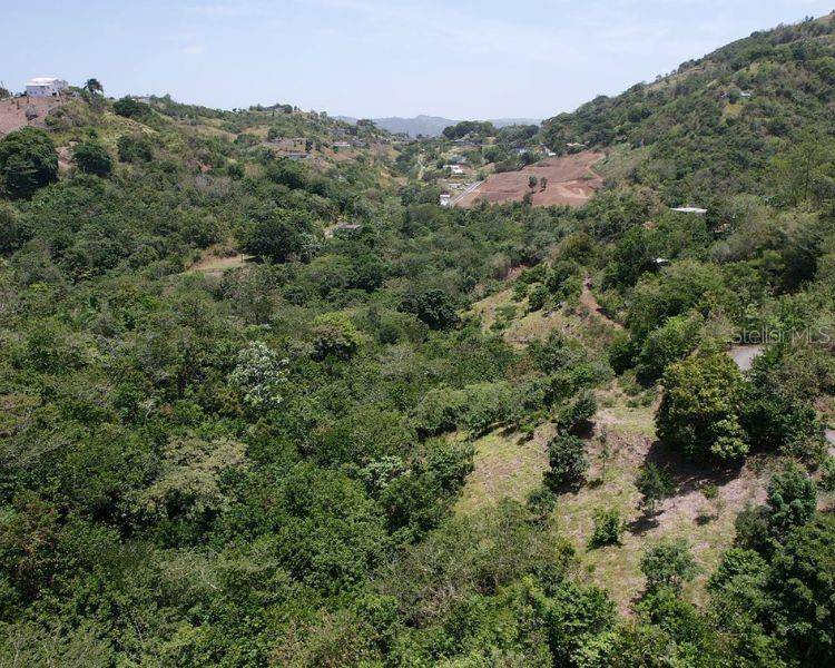 HACIENDA DE CIDRA, RABANAL PARCELA #32, Cidra, PR 00739