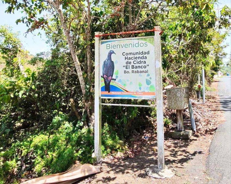 HACIENDA DE CIDRA, RABANAL PARCELA #32, Cidra, PR 00739