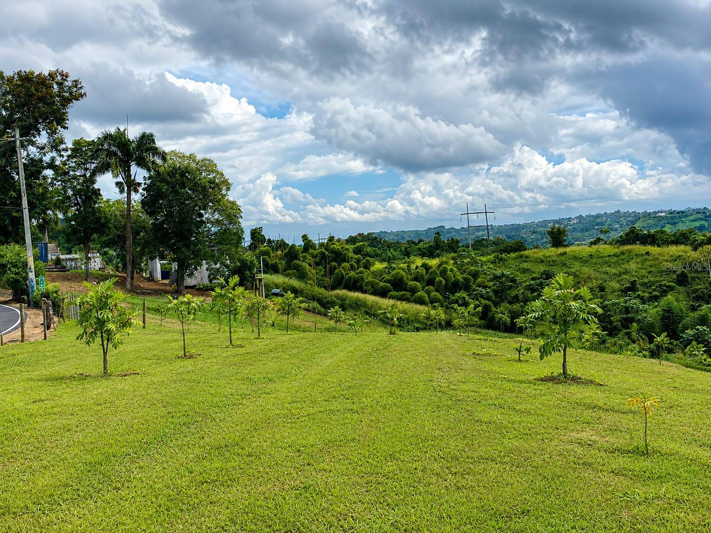BO. FRONTON CARR 146 KM 18.6, Ciales, PR 00638