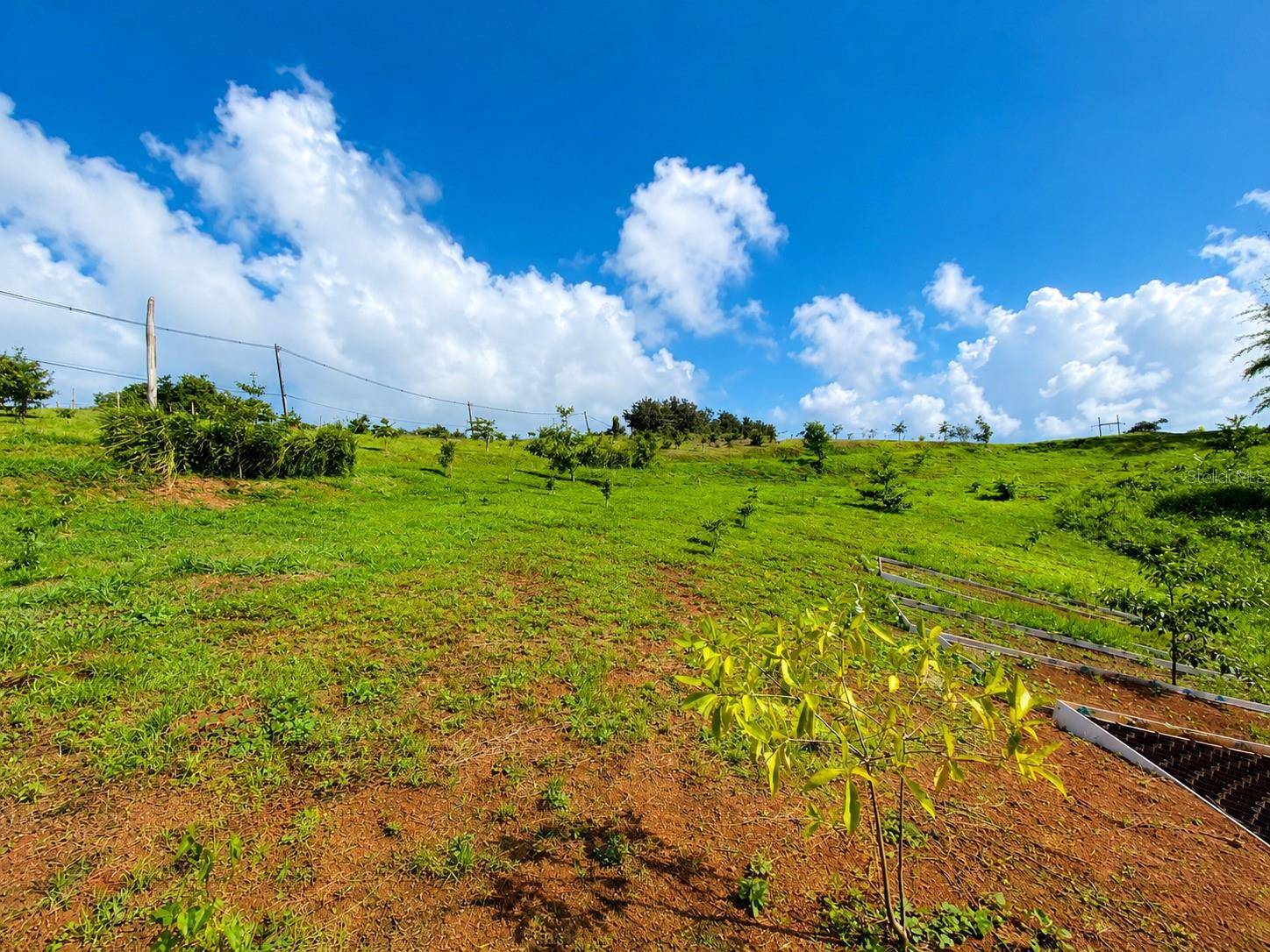 BO. FRONTON CARR 146 KM 18.6, Ciales, PR 00638