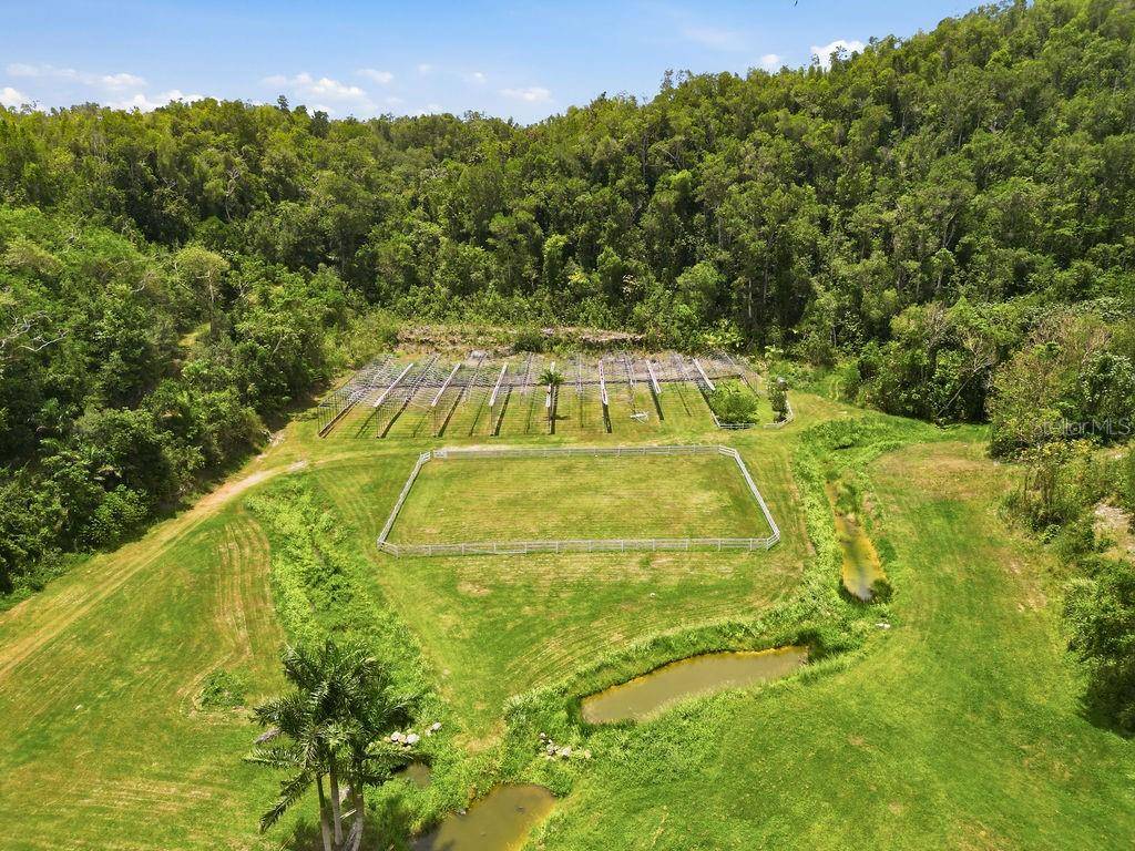 PR 129 ESPEZANZA WARD, Arecibo, PR 00612