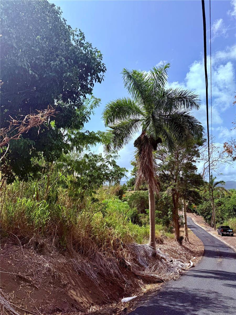 857 ROUTE #km 6.8, Carolina, PR 00987