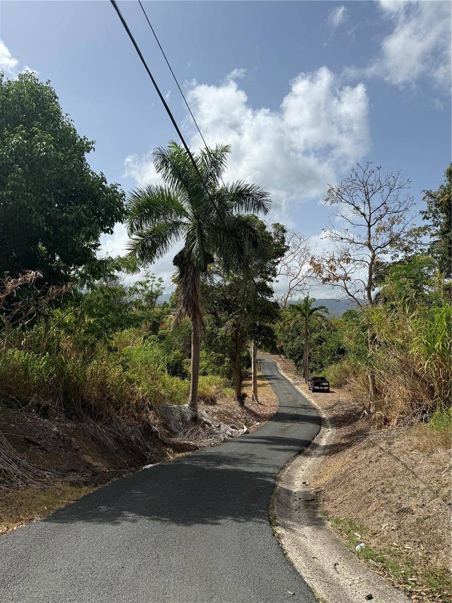 857 ROUTE #km 6.8, Carolina, PR 00987