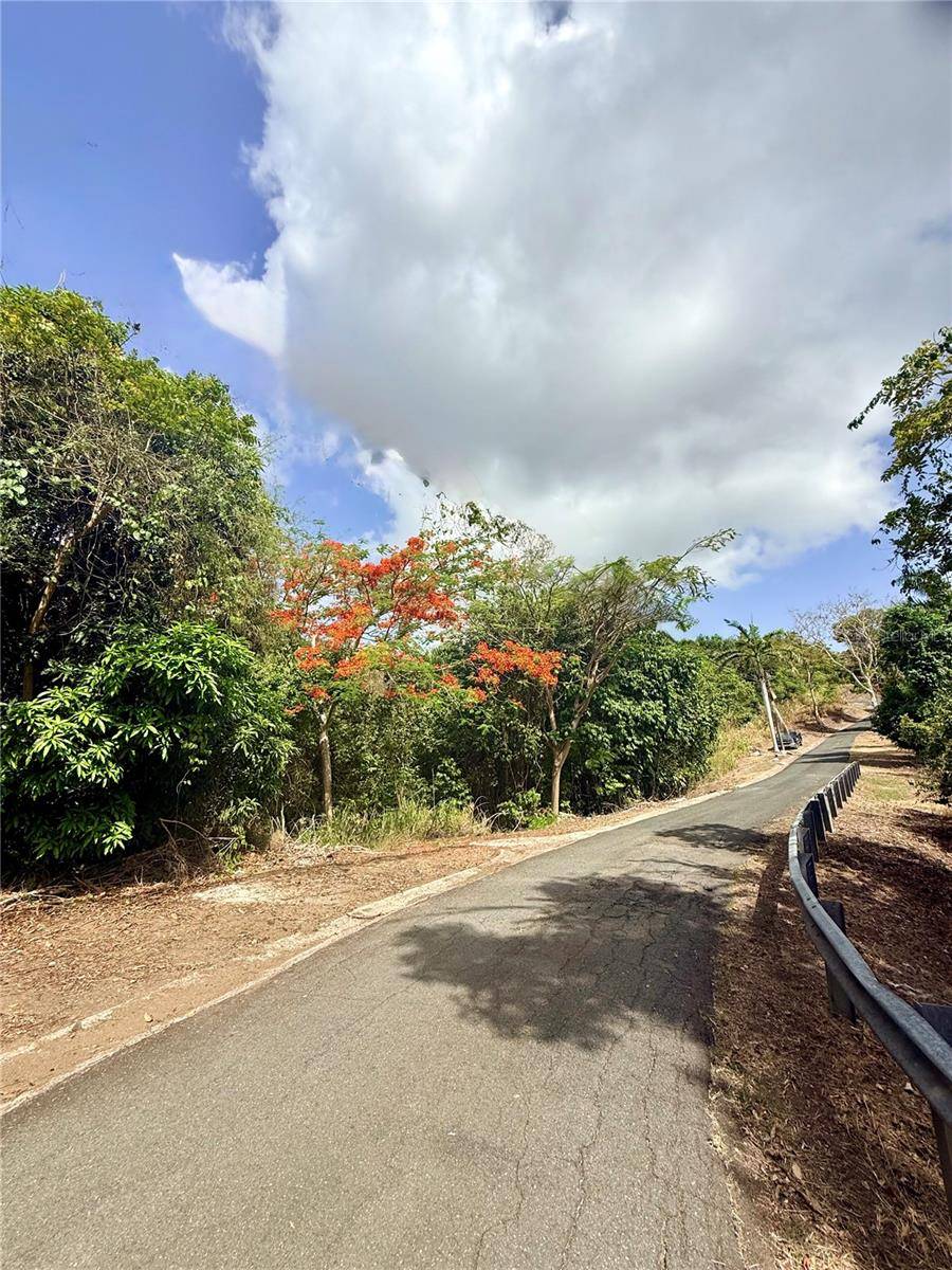857 ROUTE #km 6.8, Carolina, PR 00987
