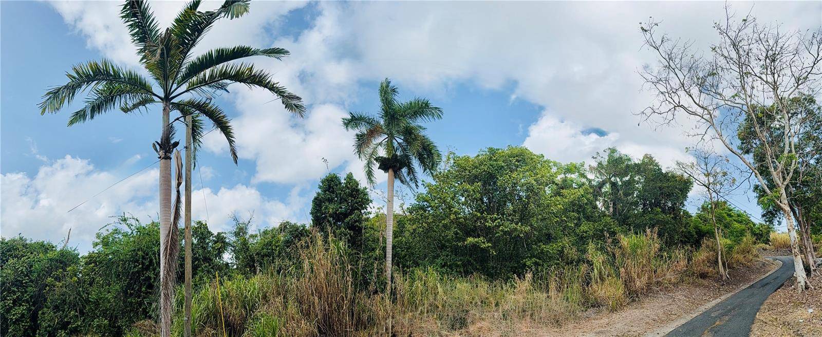 857 ROUTE #km 6.8, Carolina, PR 00987