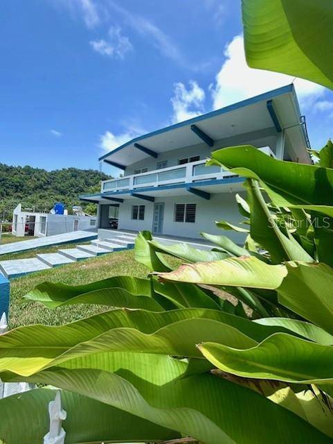 Bo Quebrada Fajardo CARR#985 KM 1.3 #Lote#5, Fajardo, PR 00738