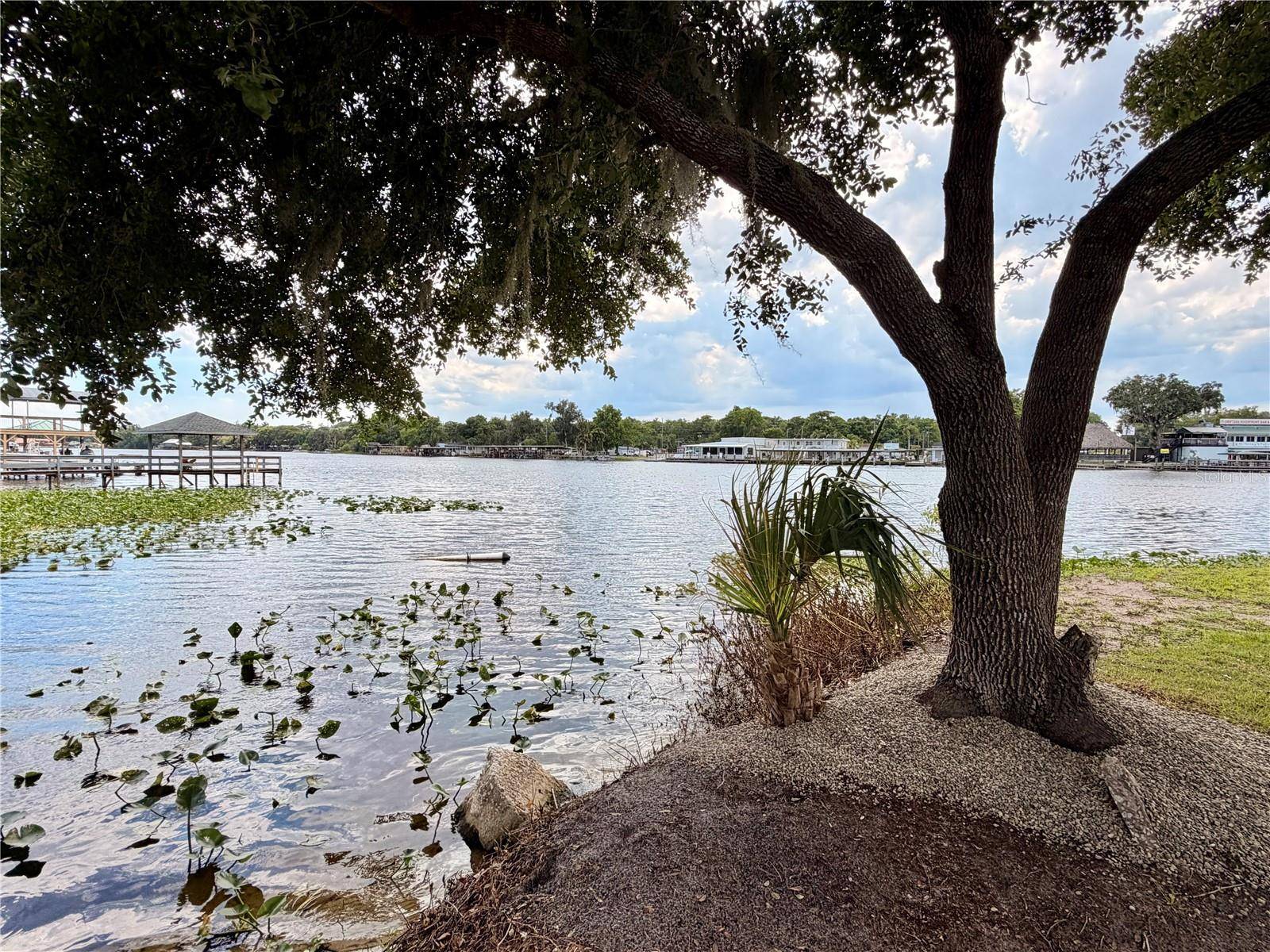 1570 RIVEREDGE CT, Astor, FL 32102