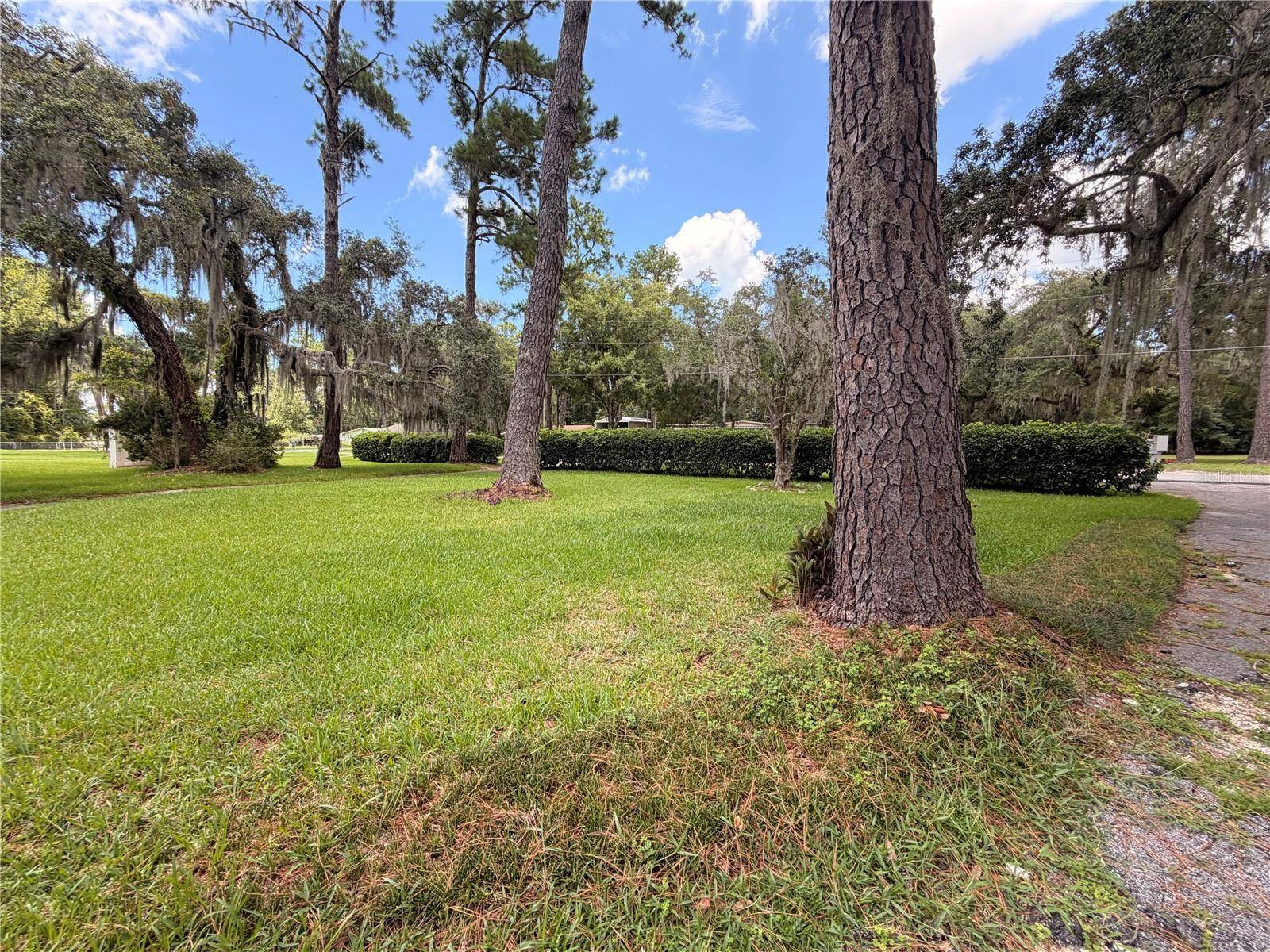 1940 ALICE DR, Astor, FL 32102