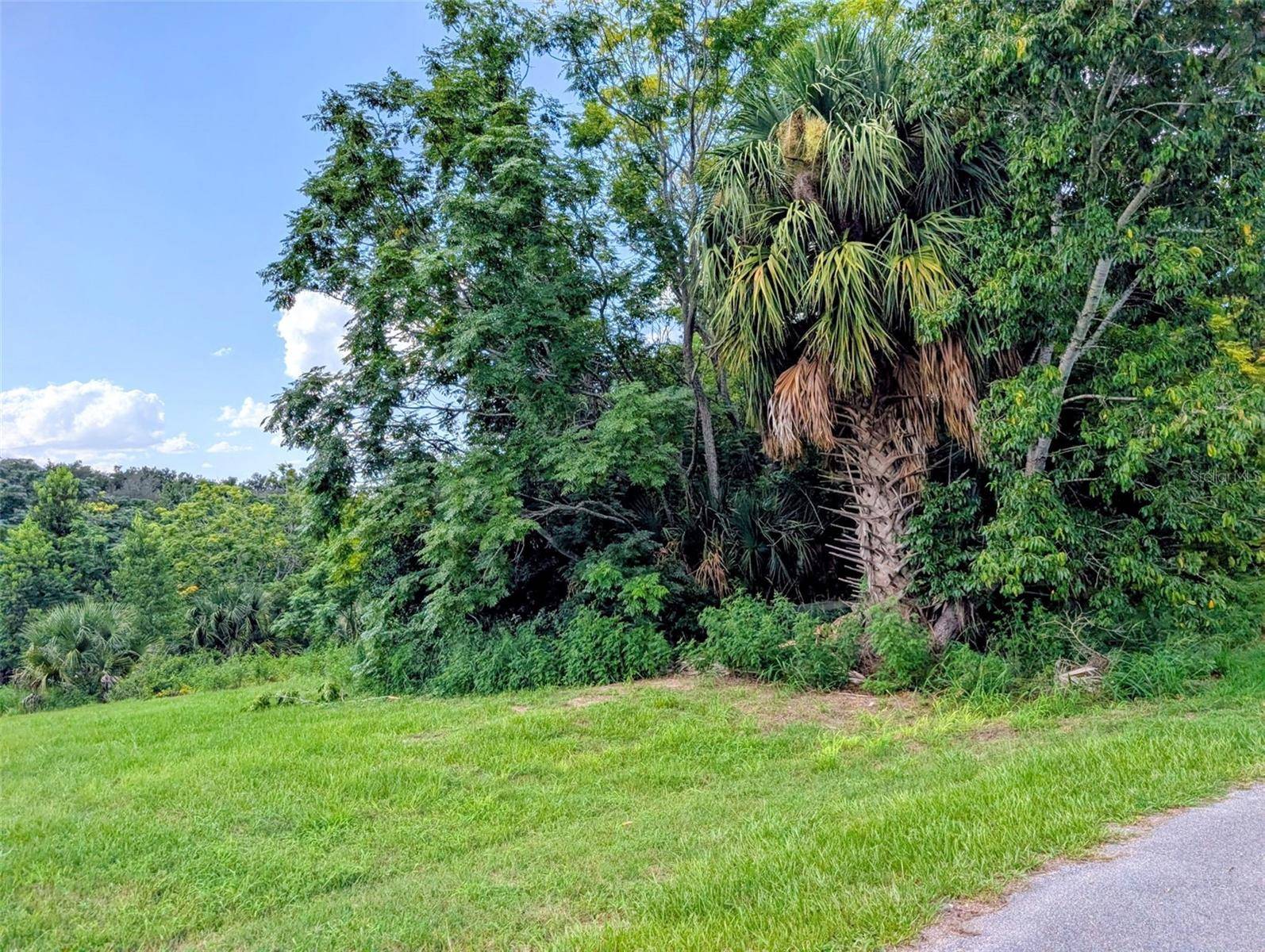 GREEN BRIAR DR, Lady Lake, FL 32159