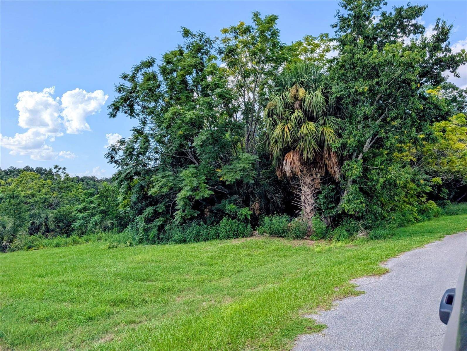 GREEN BRIAR DR, Lady Lake, FL 32159