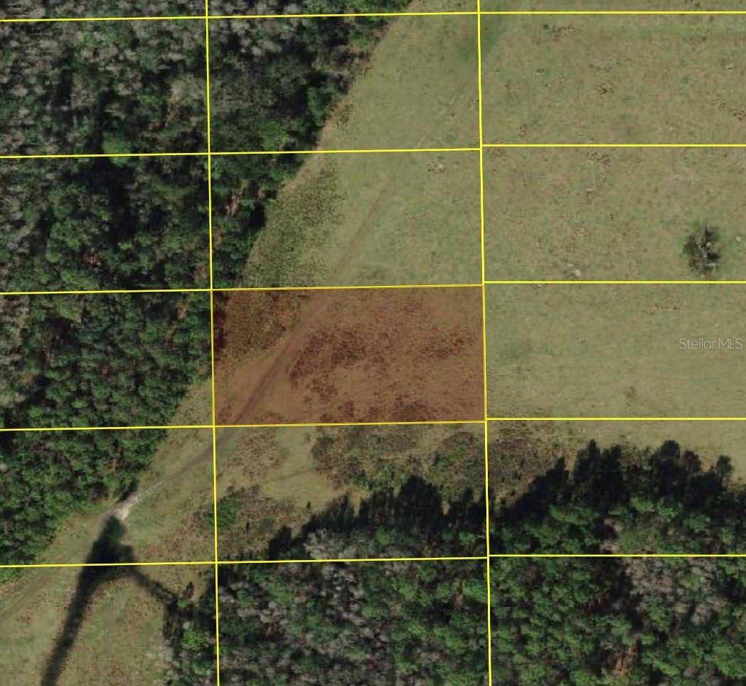 POLK CITY, Polk City, FL 33868