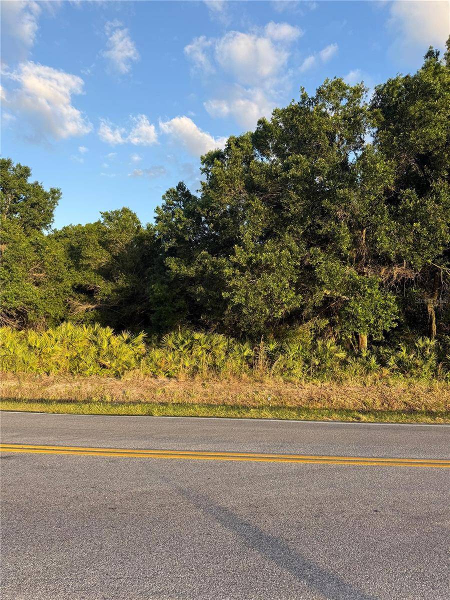0 ALTURAS BABSON PARK CUTOFF ROAD, Lake Wales, FL 33859
