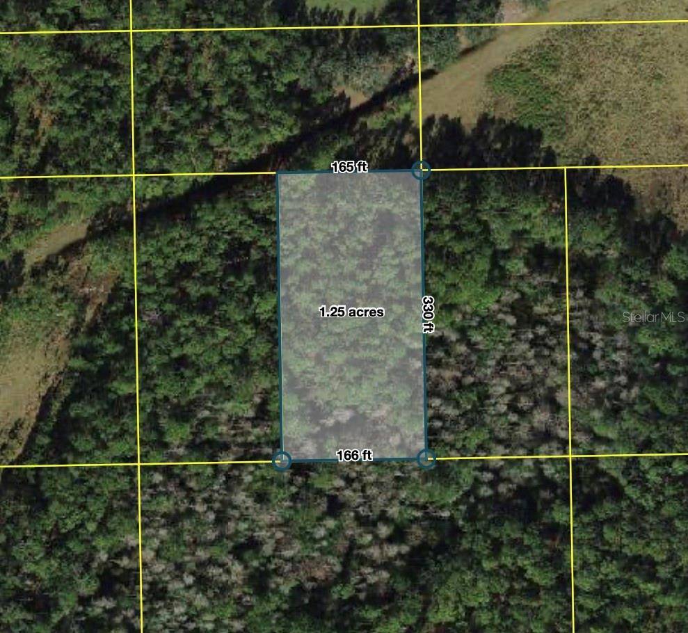 POLK CITY, Polk City, FL 33868